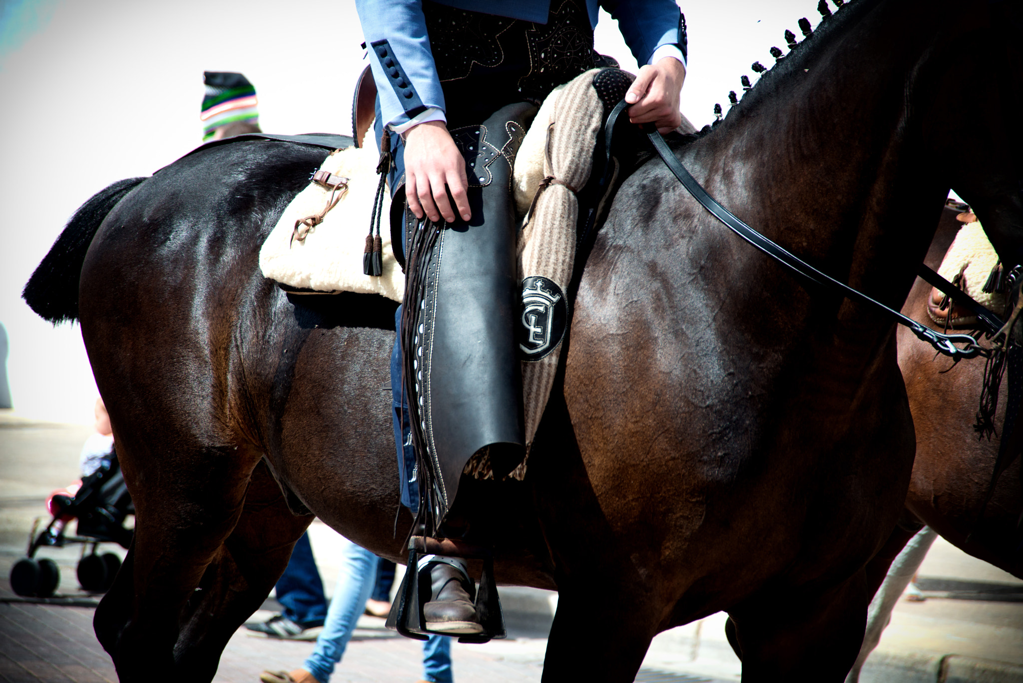 Nikon D800 sample photo. Feria de ab photography