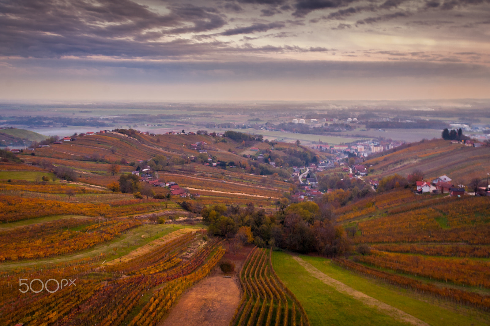 Canon EOS 40D sample photo. Vineyards in lendava photography