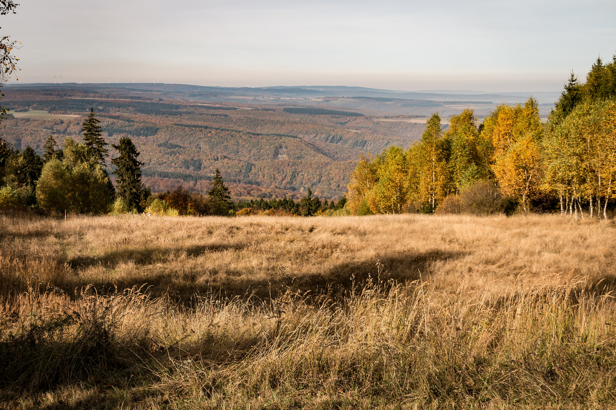 Sigma 18-200mm f/3.5-6.3 DC OS sample photo. Soonwald herbst photography