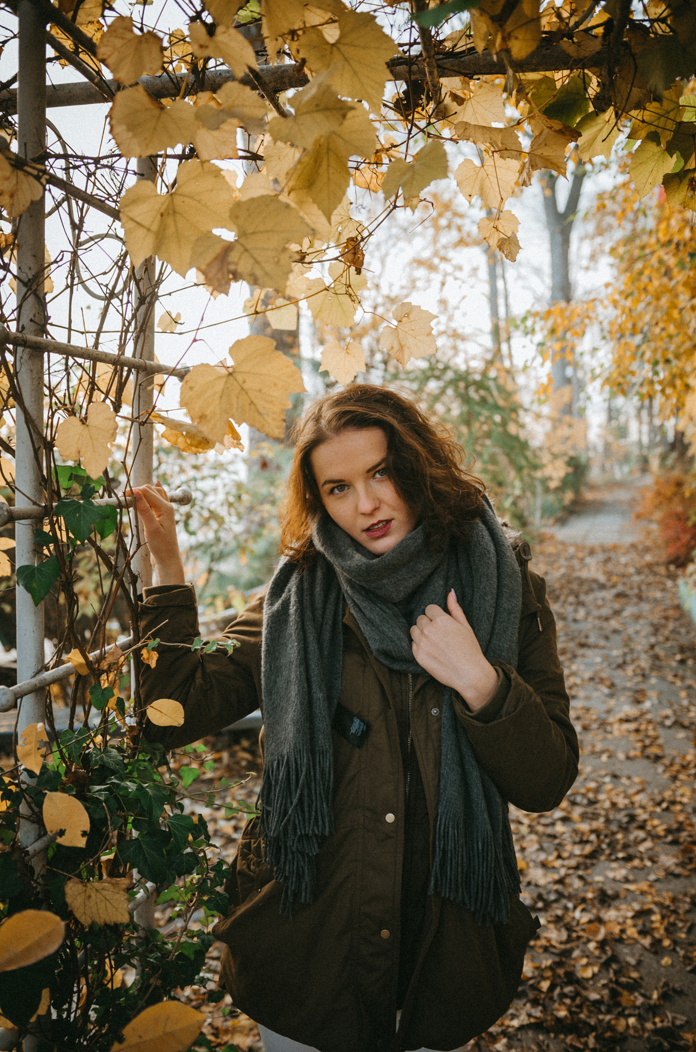 Nikon D5100 + Sigma 18-35mm F1.8 DC HSM Art sample photo. Autumn photography