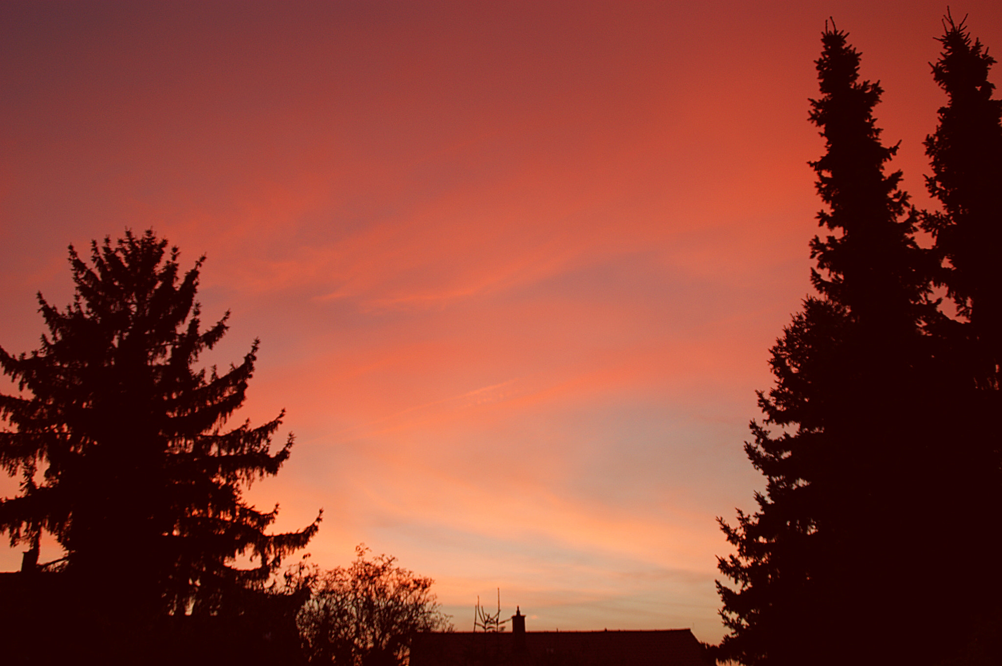 Sony Alpha DSLR-A290 sample photo. This is the end of today's day photography