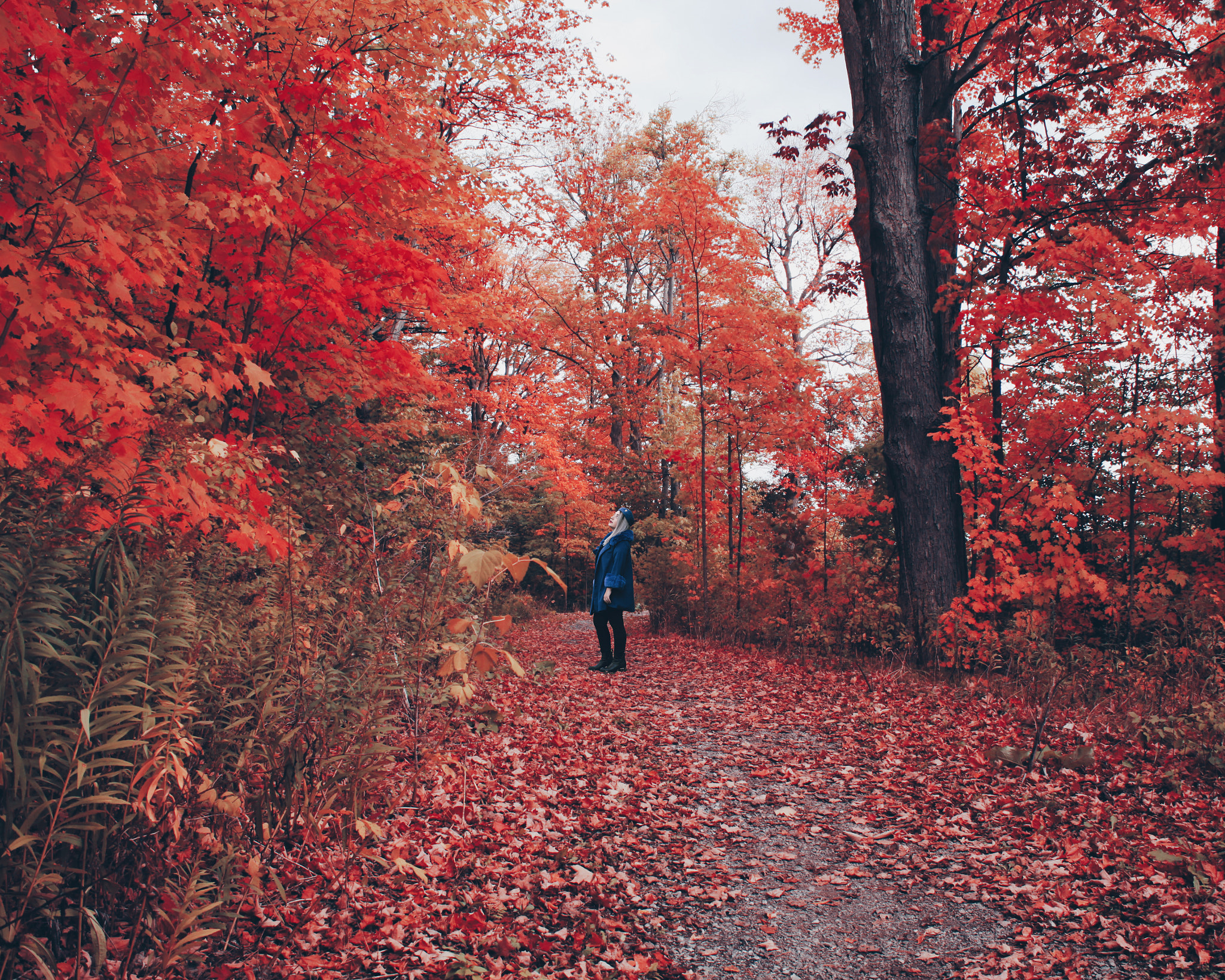 Canon EOS 5D Mark II sample photo. Forest diaries photography