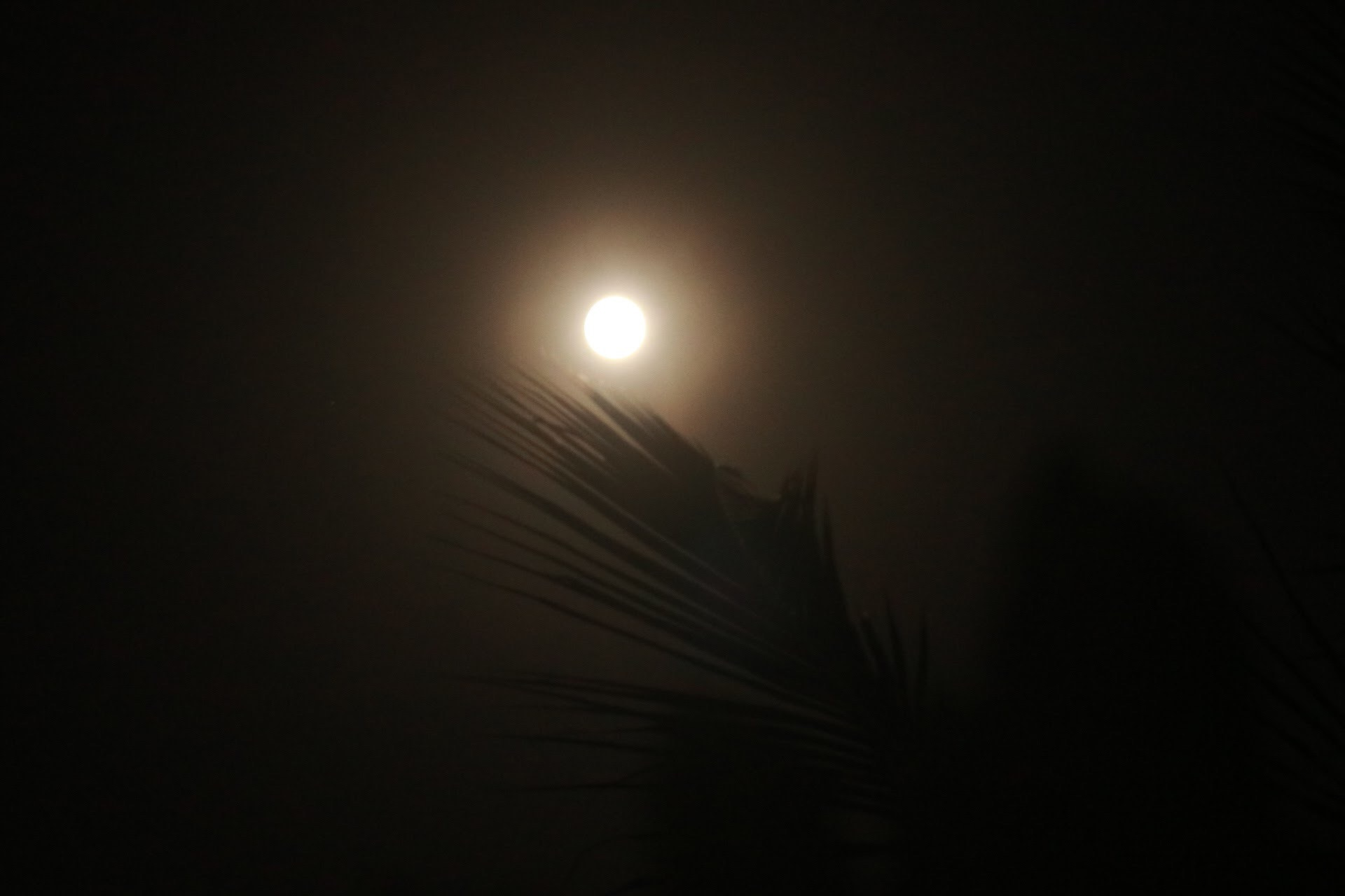 Canon EOS 80D + EF75-300mm f/4-5.6 sample photo. Full moon. photography