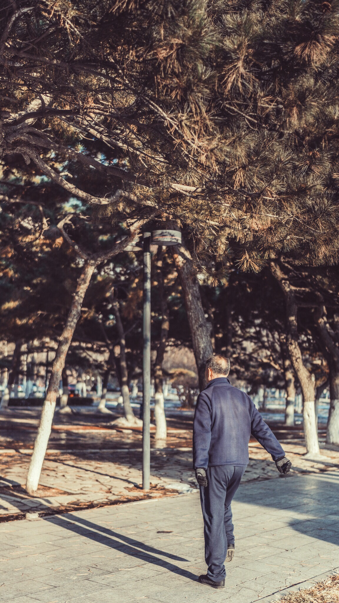 Sony a7R + Sony Distagon T* FE 35mm F1.4 ZA sample photo. Fitness in the park. photography