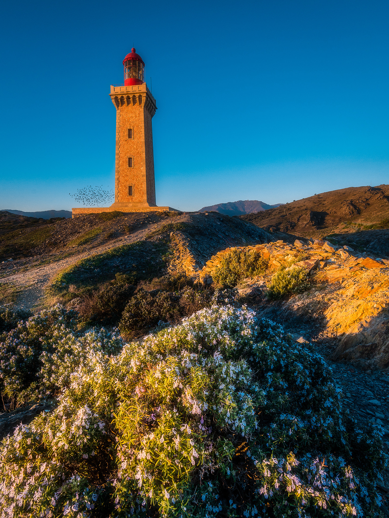 Panasonic Lumix DMC-GX7 sample photo. Phare du cap béar photography