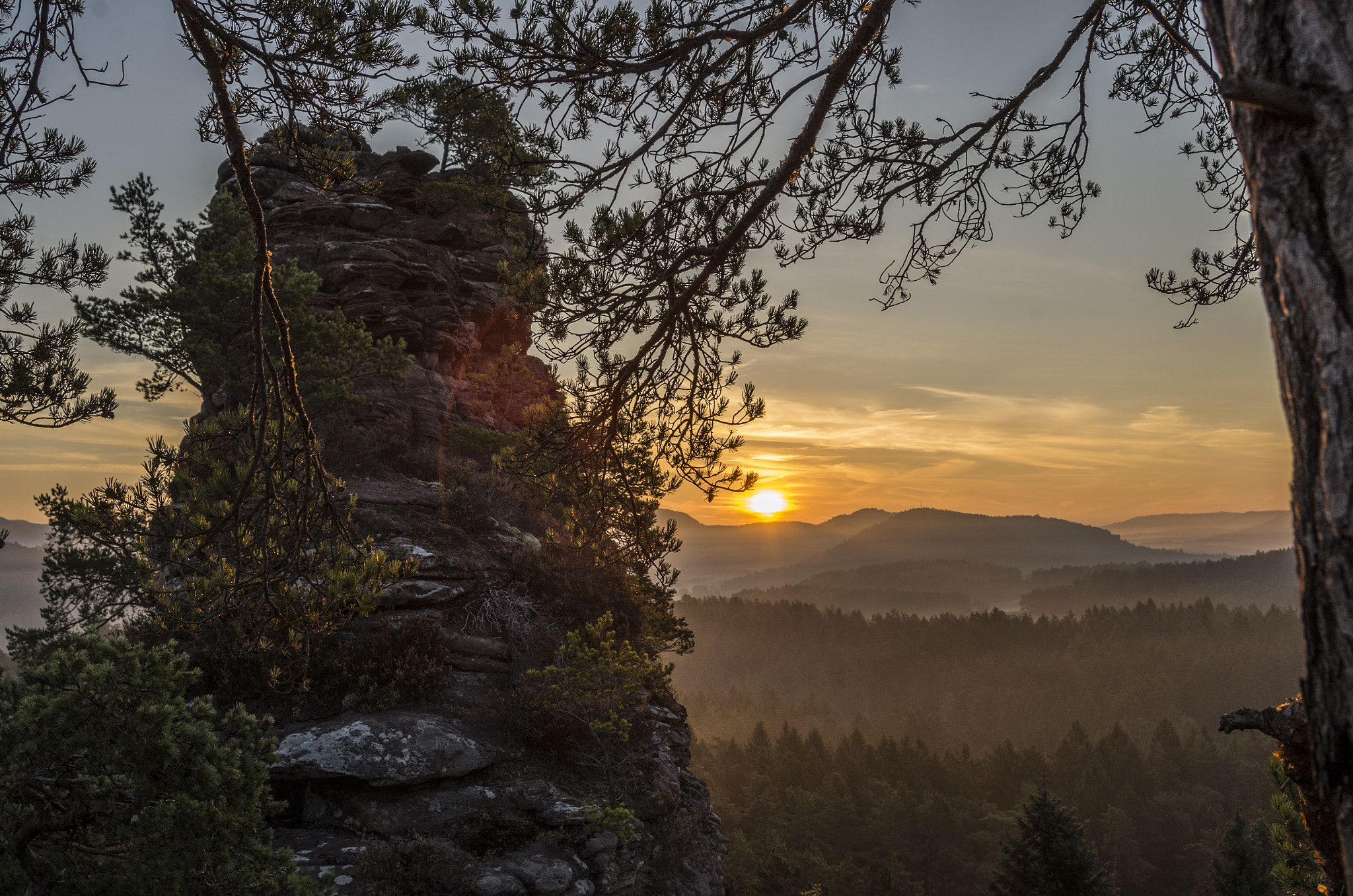 Pentax K-30 sample photo. Forest sunrise photography