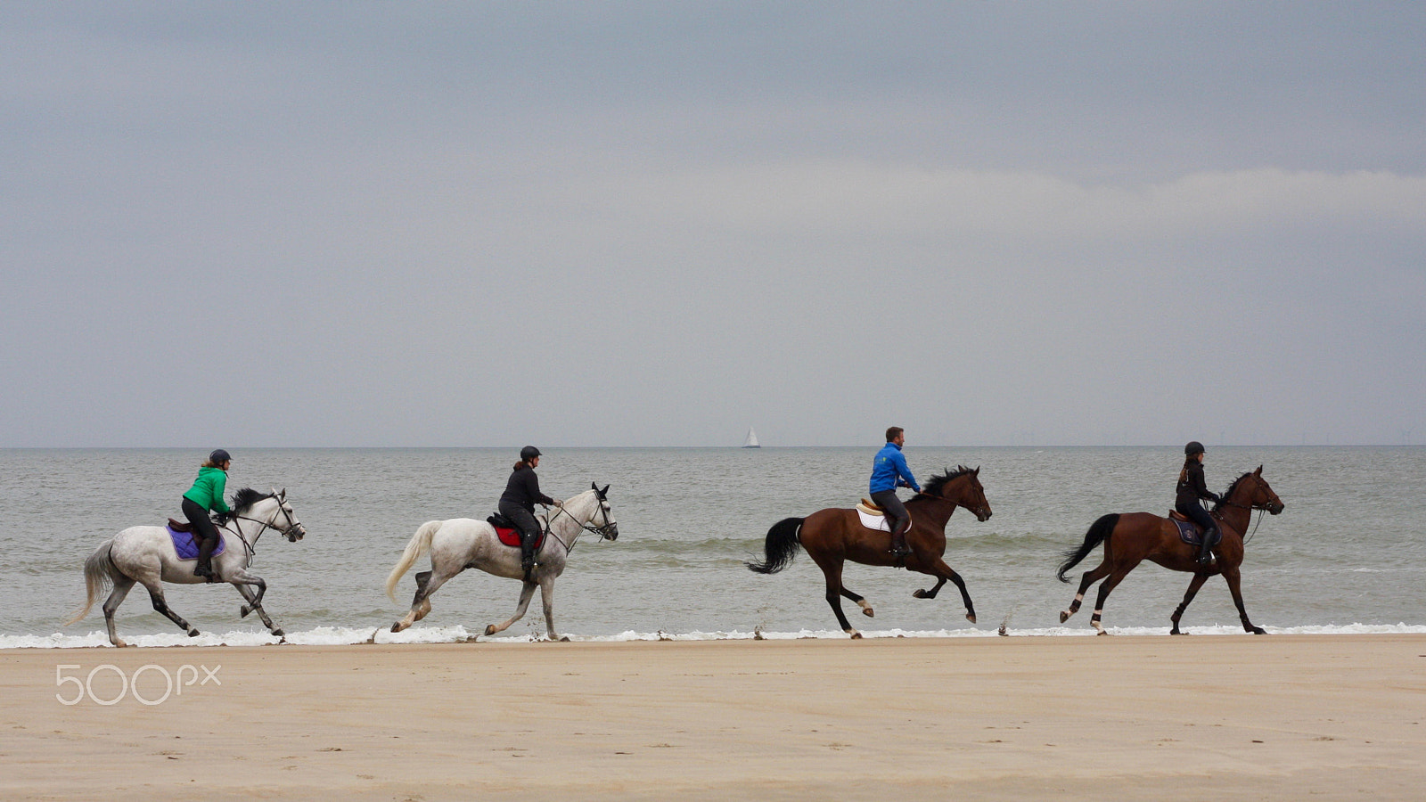 Canon EOS 40D + EF75-300mm f/4-5.6 sample photo. Horses like water photography