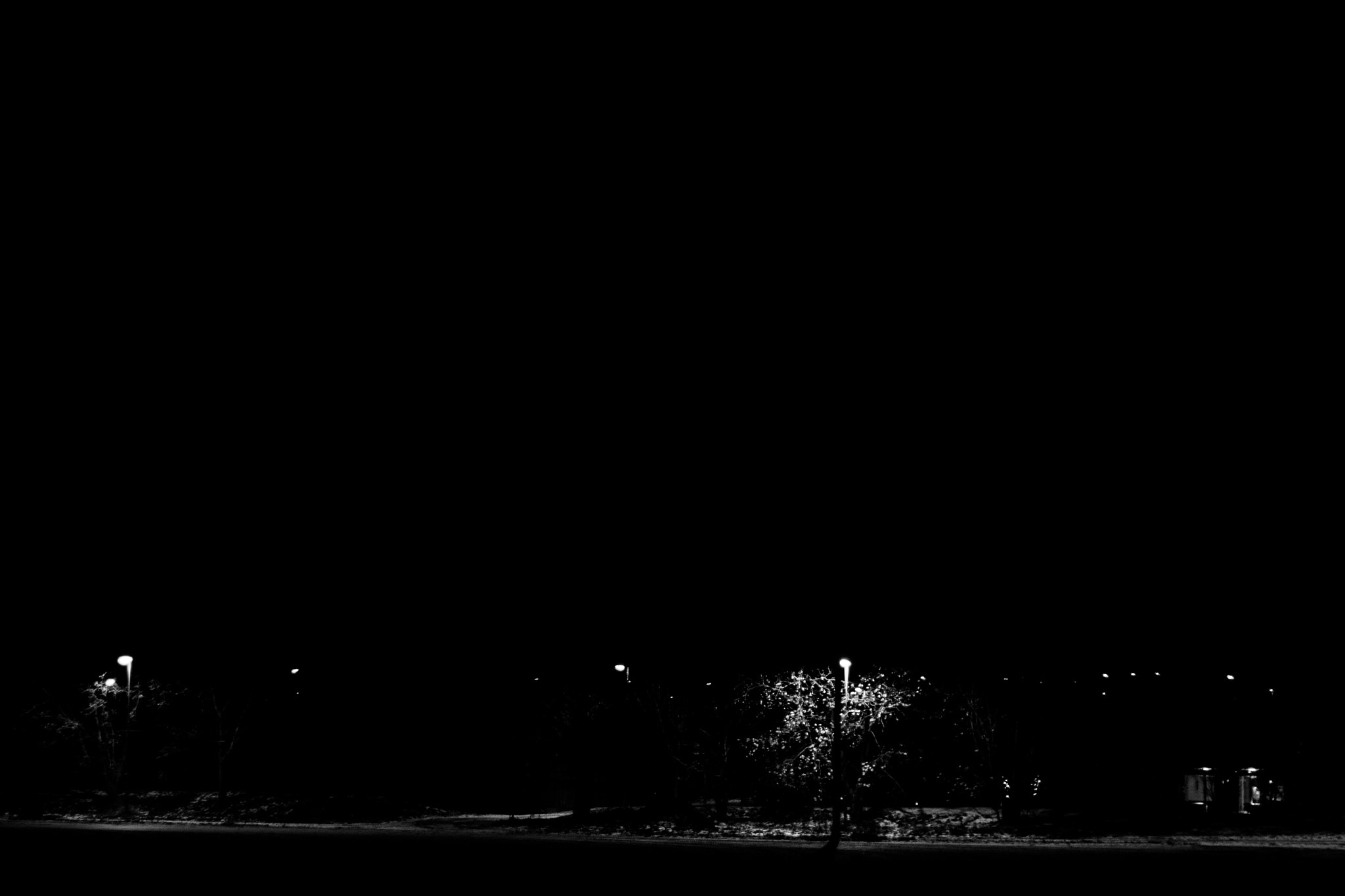 Canon EOS 1000D (EOS Digital Rebel XS / EOS Kiss F) + Canon EF 50mm F1.8 STM sample photo. Lights in treeline photography