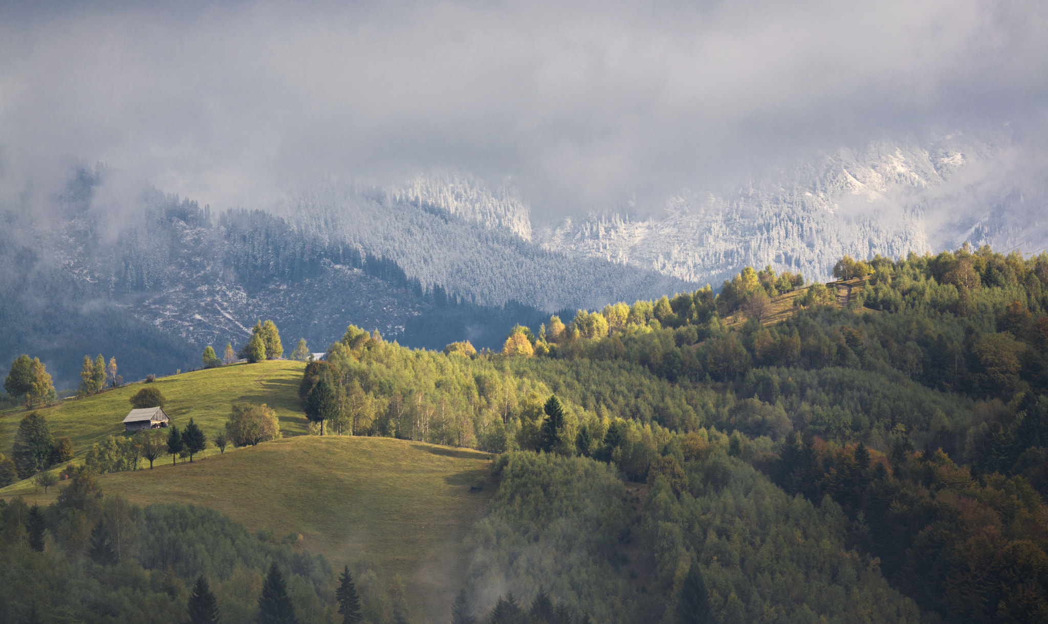 Nikon D600 sample photo. Winter next dor photography
