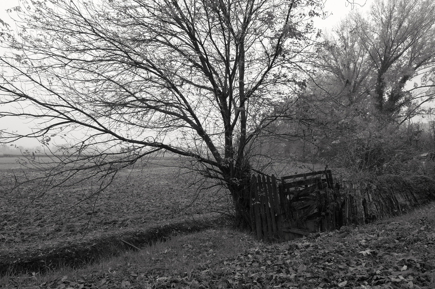 Ricoh Caplio GX100 sample photo. Fields in town photography