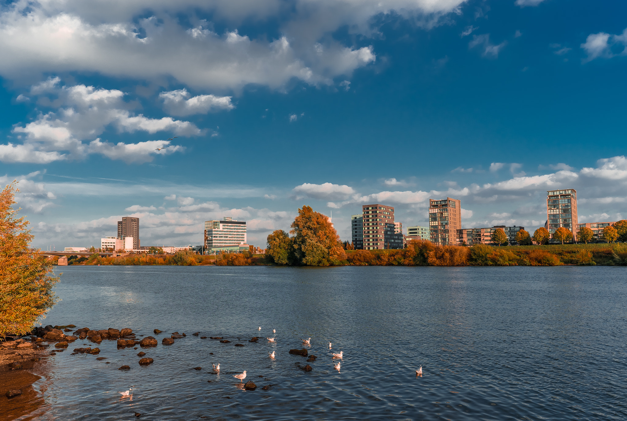 Sony a7 II + ZEISS Batis 25mm F2 sample photo. City of venlo photography