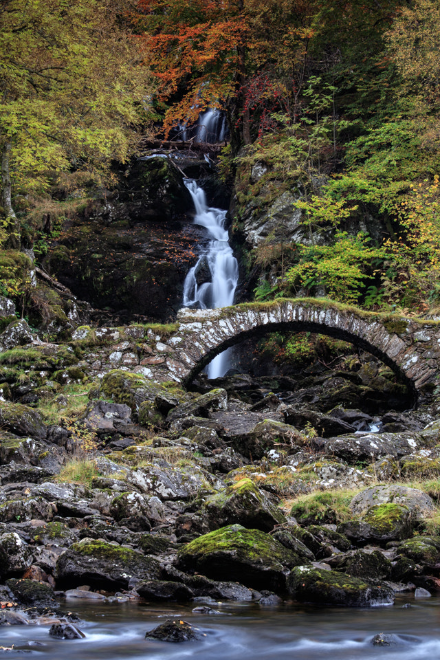 Canon EF 70-200mm F4L IS USM sample photo. Glen lyon photography