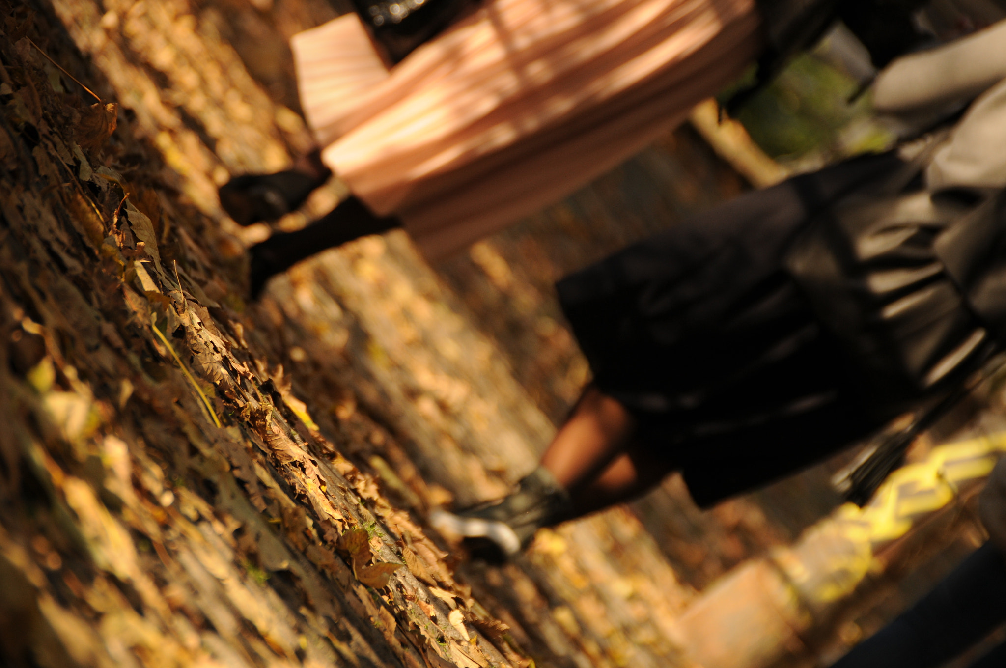 Nikon D300S sample photo. Autumn steps photography