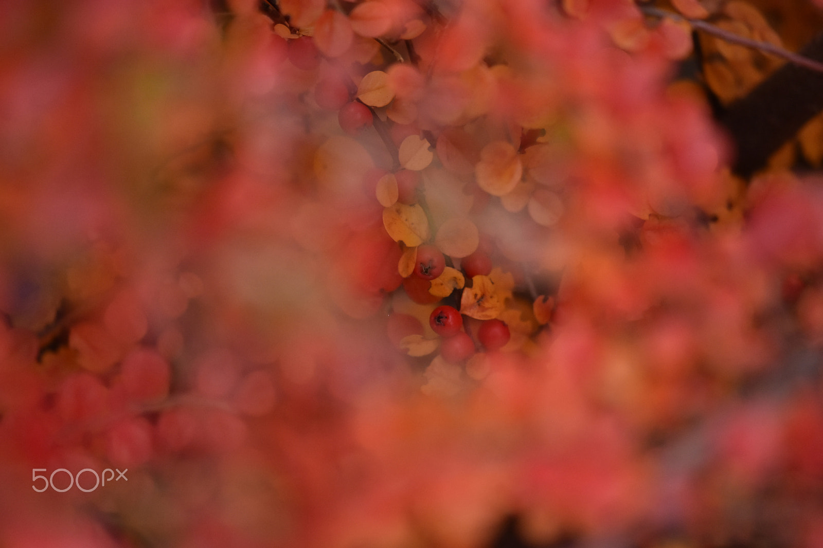 Nikon AF-S DX Micro-Nikkor 85mm F3.5G ED VR sample photo. Blinking to a new day photography