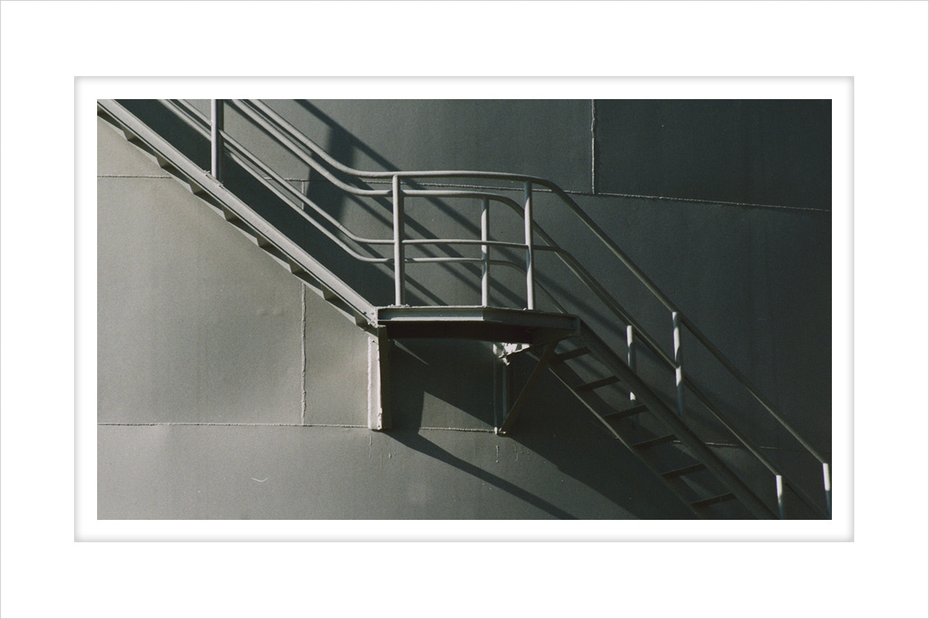 AF Zoom-Nikkor 28-80mm f/3.3-5.6G sample photo. Mc photography