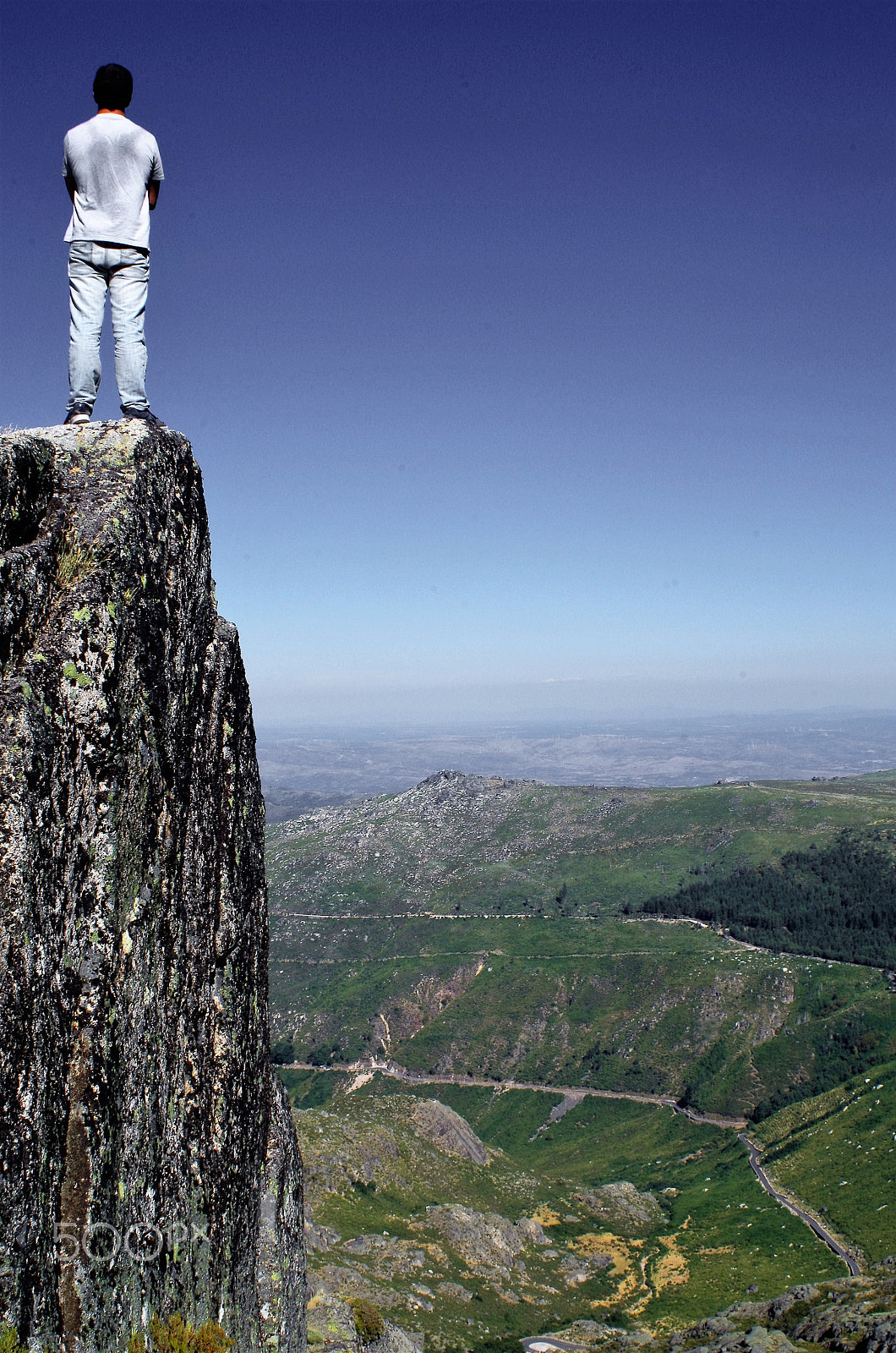 A Series Lens sample photo. King of the world photography