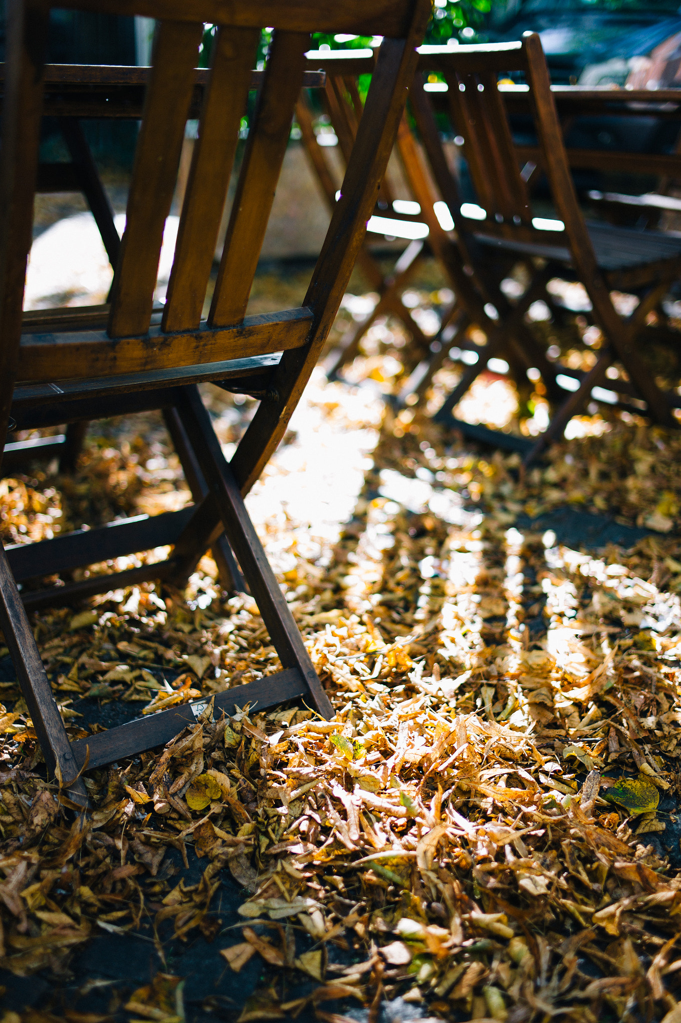 Leica M9 + Leica Summilux-M 35mm F1.4 ASPH sample photo. - photography