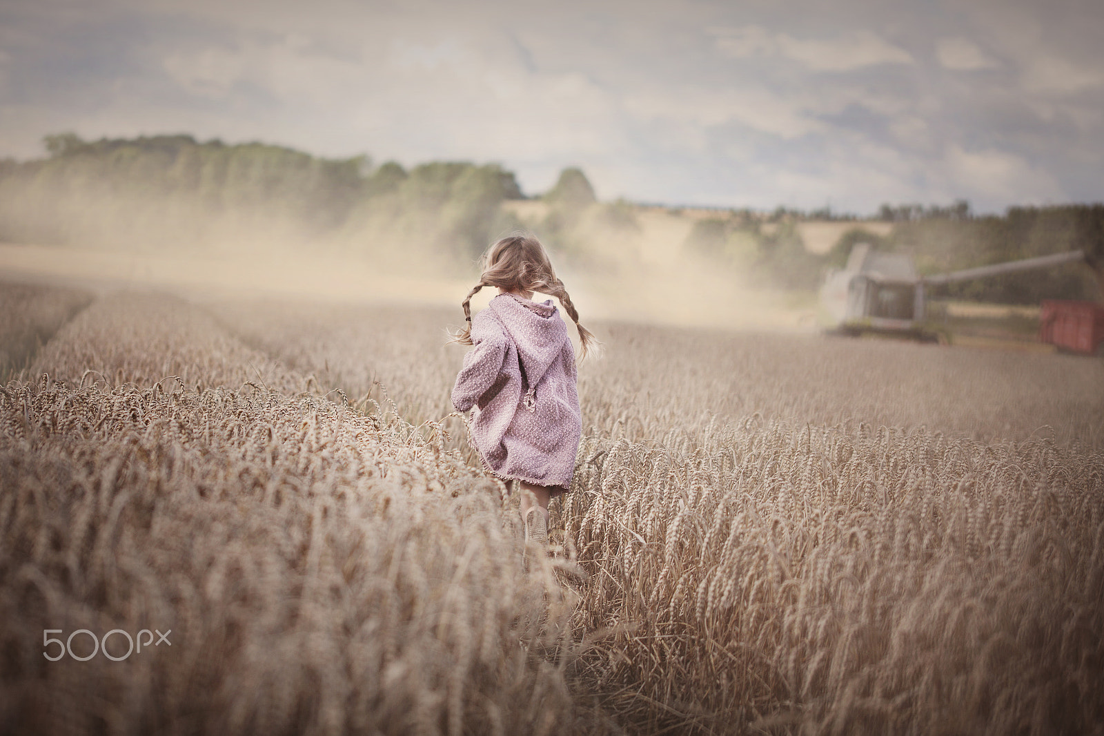 Sigma 105mm F2.8 EX DG OS HSM sample photo. Fields of denmark photography