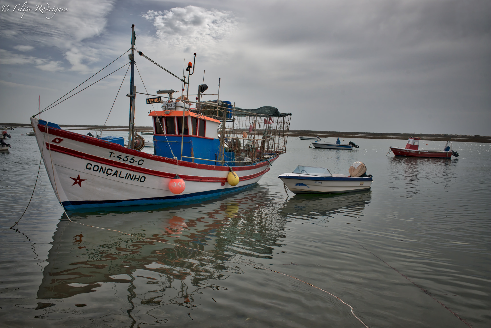 Nikon AF-S Nikkor 28-70mm F2.8 ED-IF sample photo. For sale photography