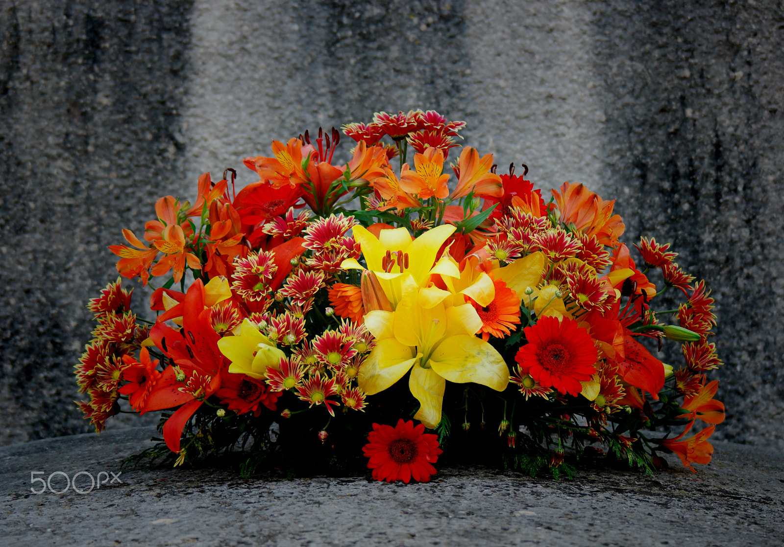 Samsung NX500 + NX 50-200mm F4-5.6 sample photo. Flowers in a tomb photography