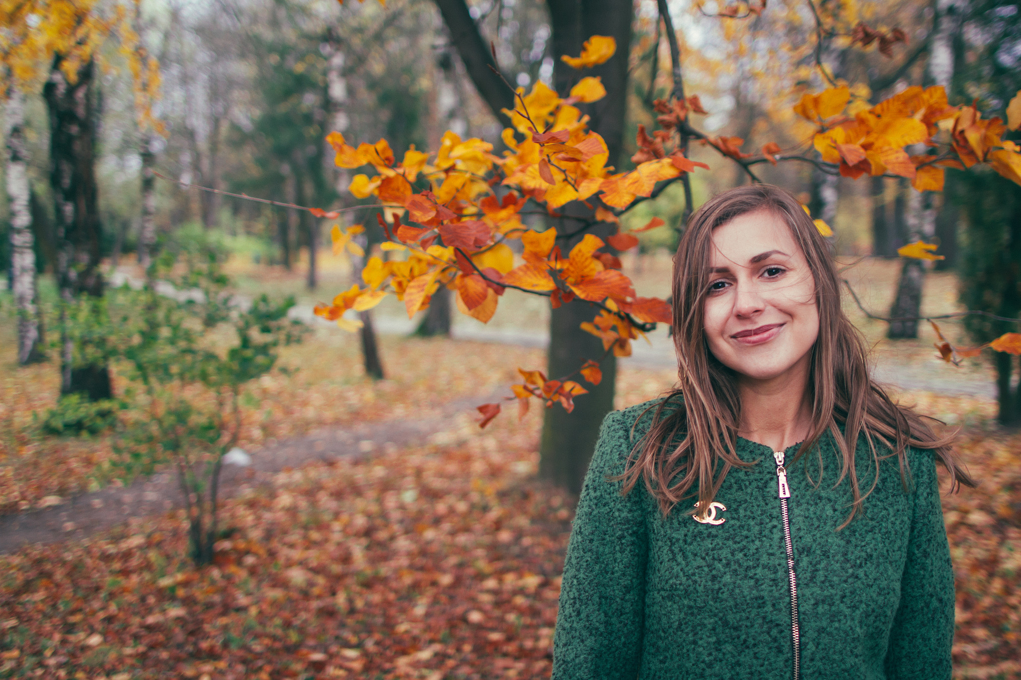 Canon EOS 7D + Canon EF 24mm F1.4L II USM sample photo. Autumn photography