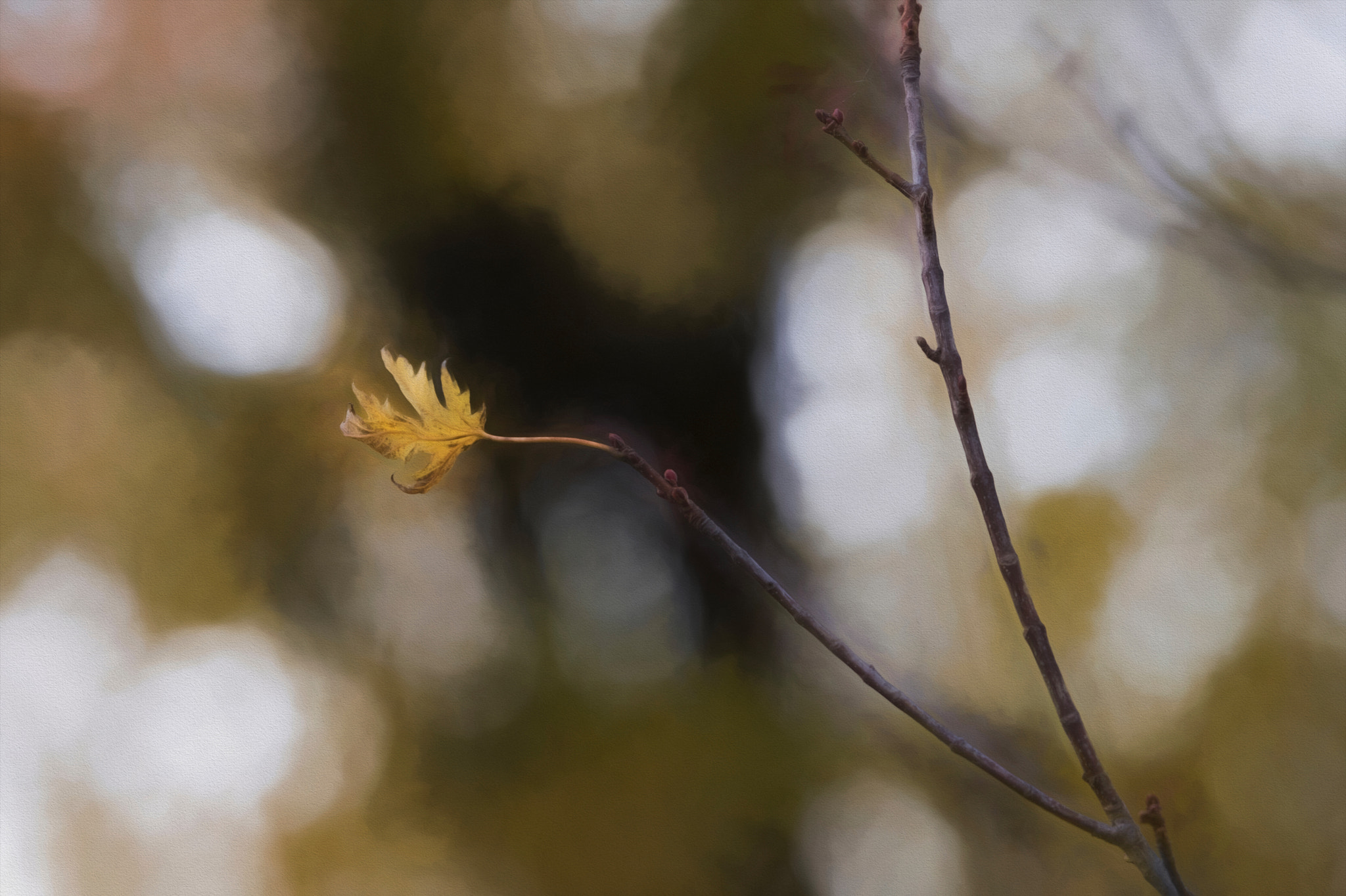 Tamron SP 70-200mm F2.8 Di VC USD sample photo