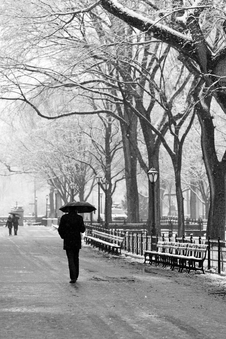 Canon EF 100mm F2.0 USM sample photo. Central park snow photography
