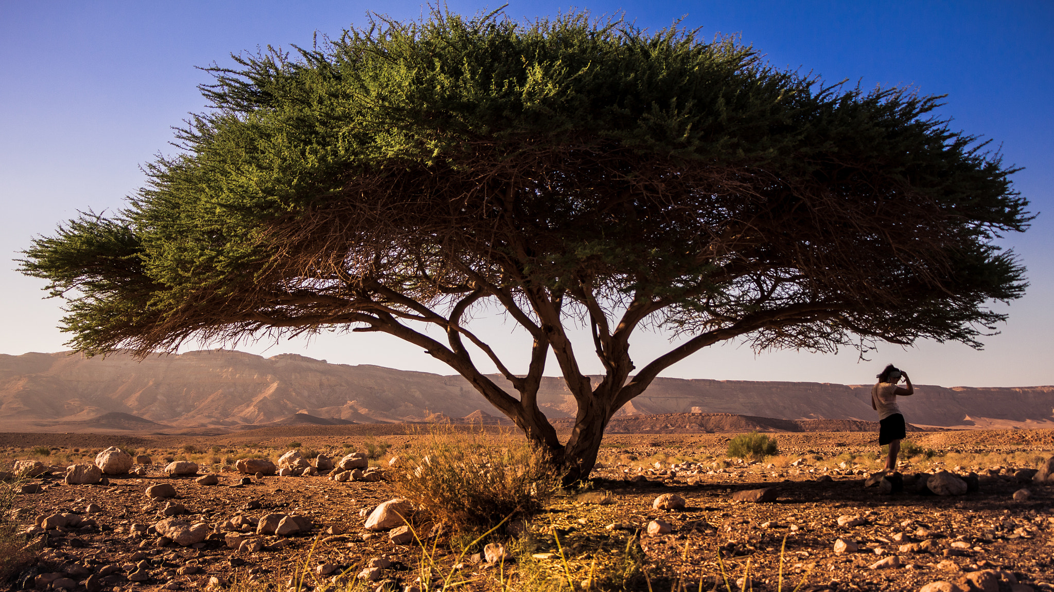 Canon EOS 700D (EOS Rebel T5i / EOS Kiss X7i) sample photo. Desert tranquility photography