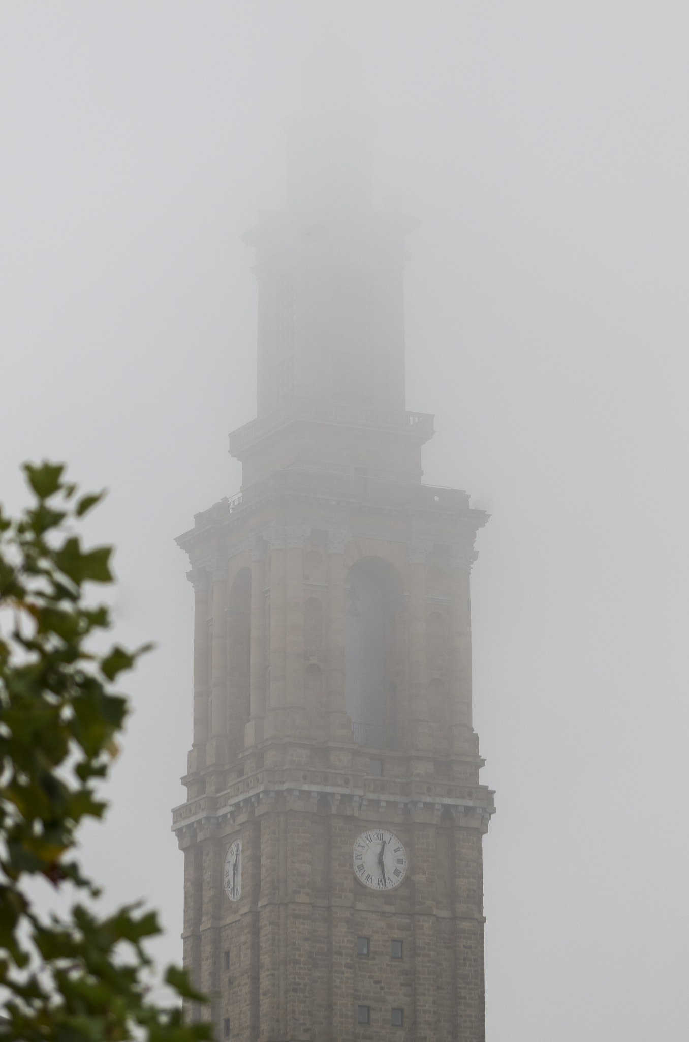 smc Pentax-DA L 50-200mm F4-5.6 ED WR sample photo. Perdida entre la niebla photography