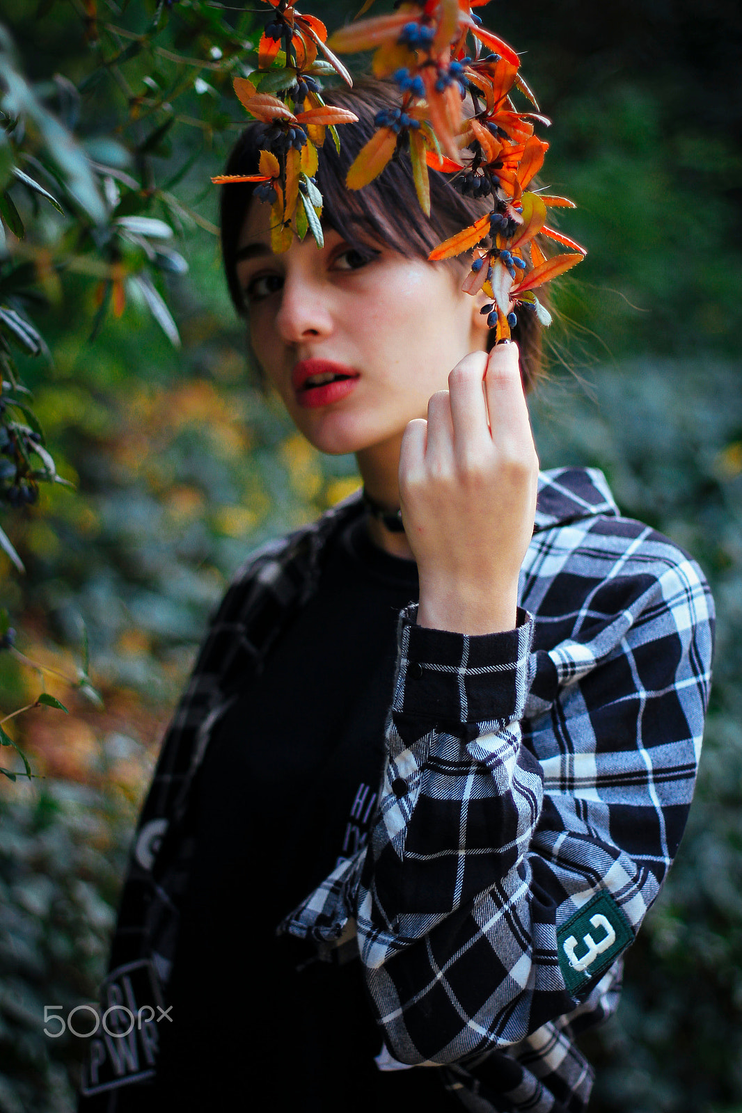 Canon EF 50mm F1.8 II sample photo. Autumn ● photography