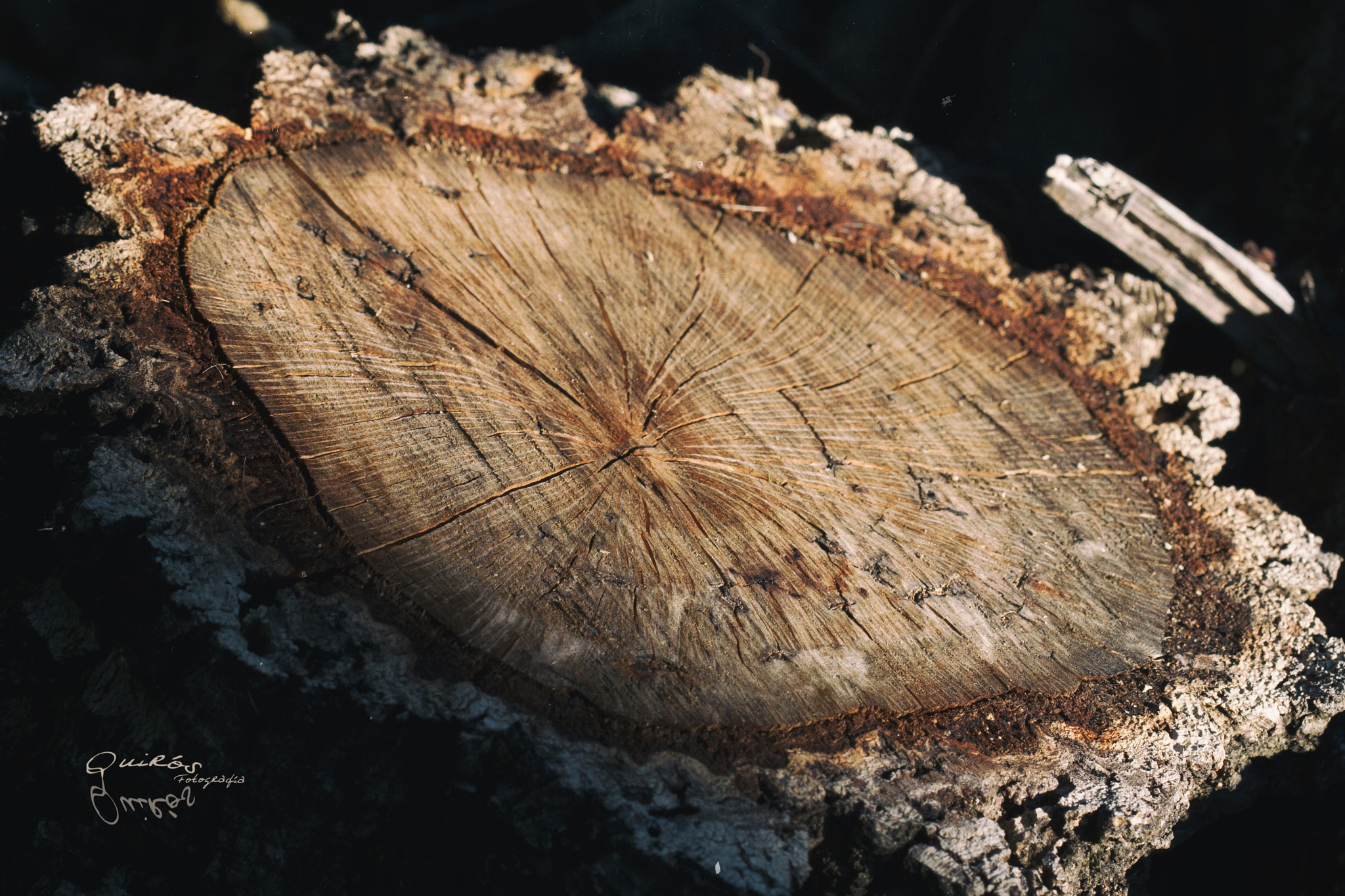 Canon EF 100mm F2.8 Macro USM sample photo. Las seÑales del tiempo photography