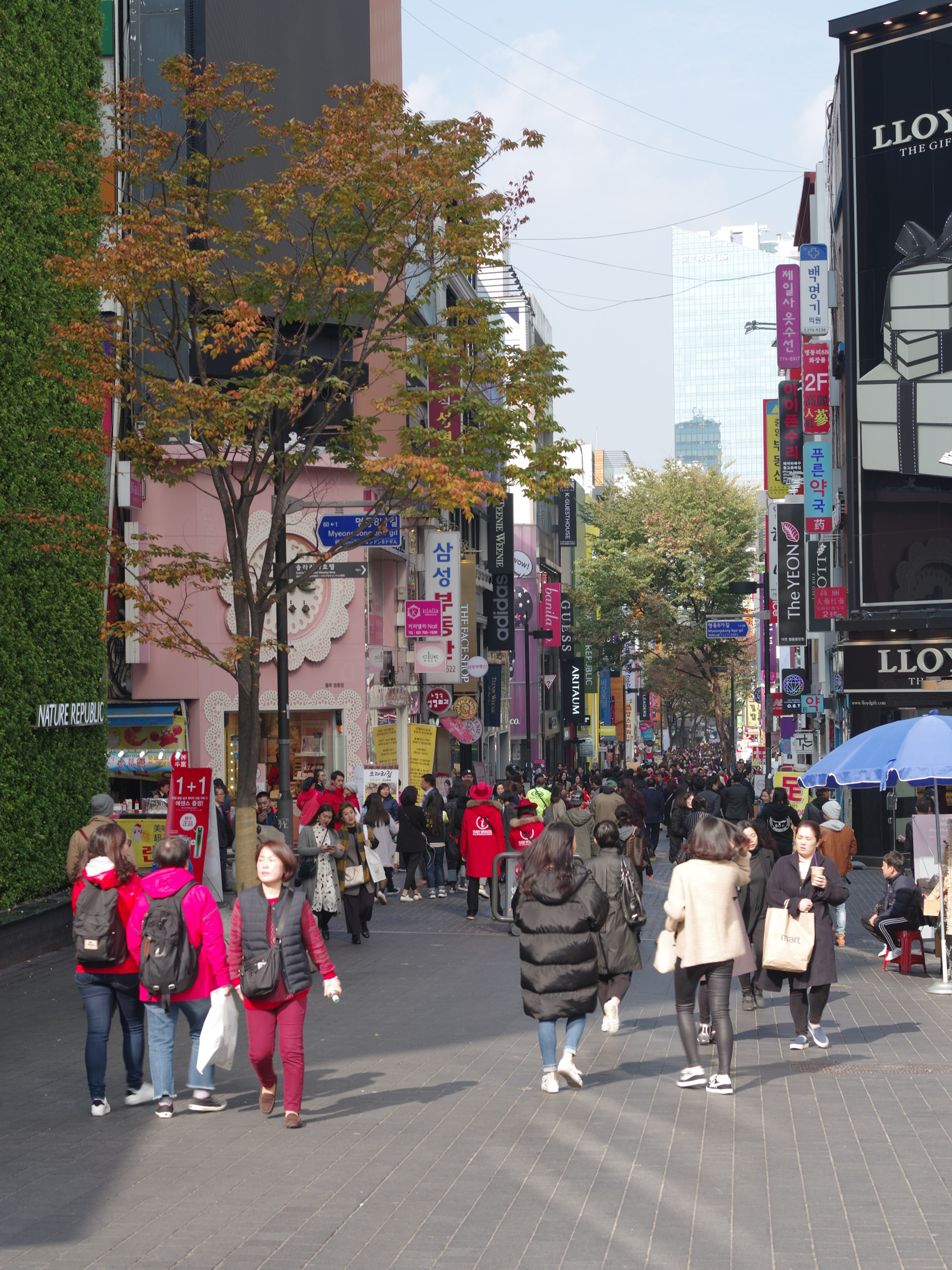 Pentax 645Z sample photo. Z photography