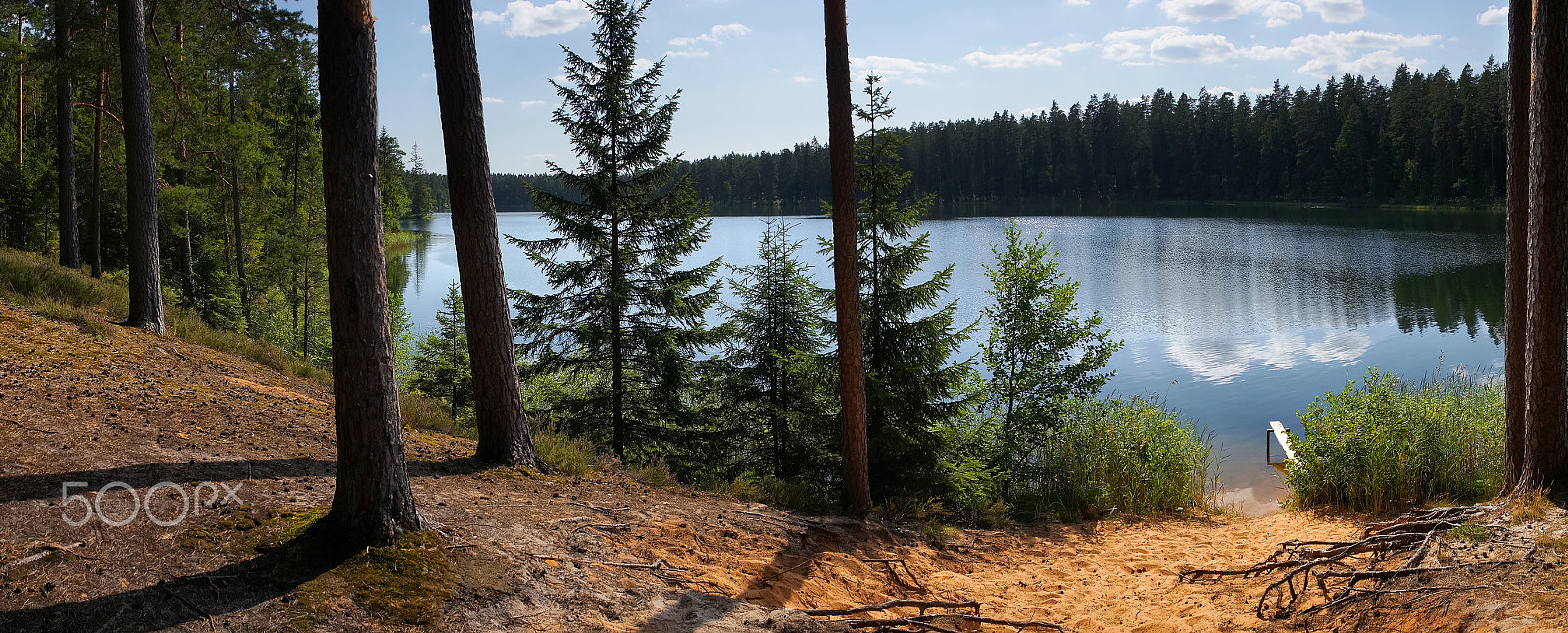 Sony Alpha NEX-6 + Sony E 20mm F2.8 sample photo. On the bank of the forest lake photography