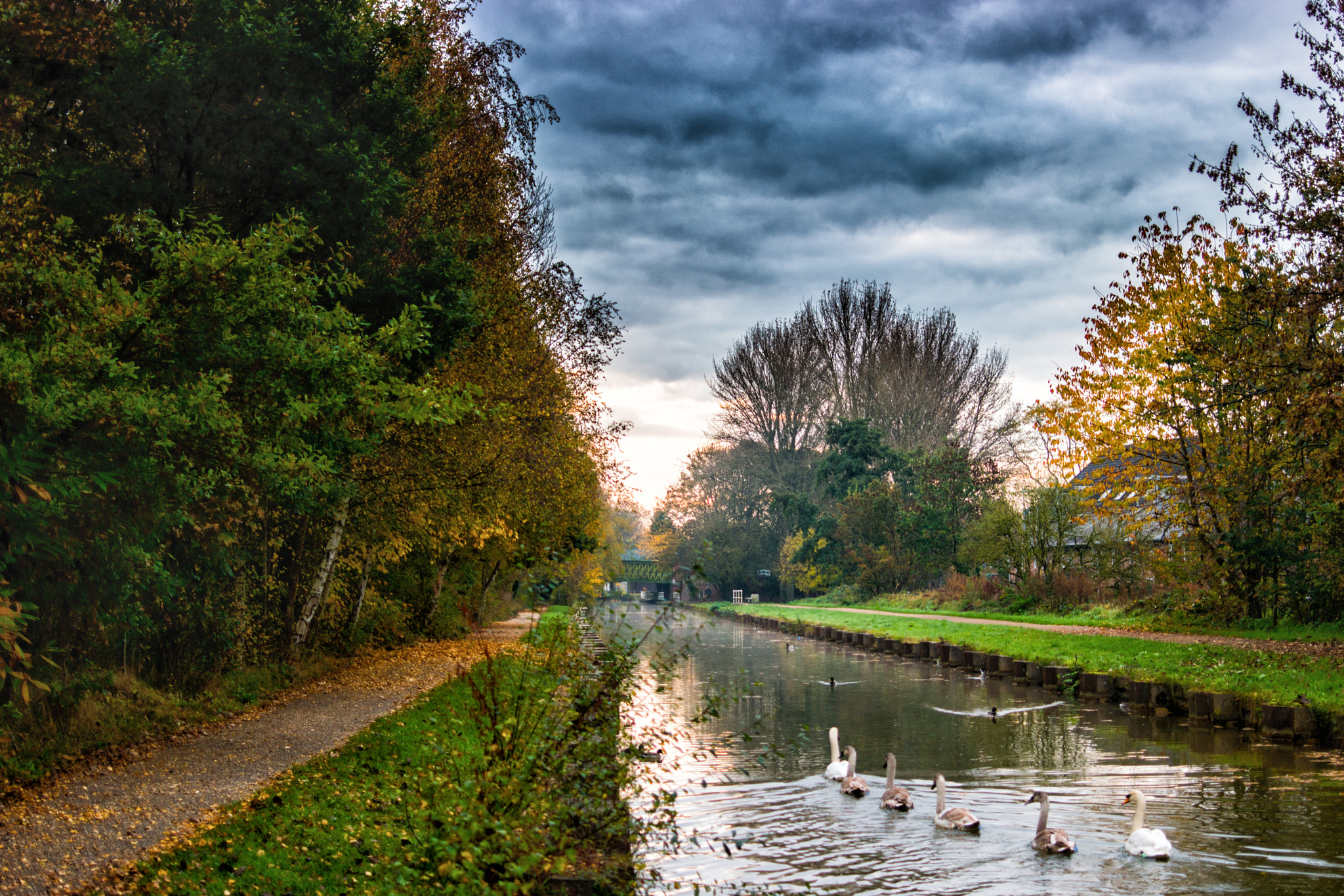 Samsung NX500 + Samsung NX 30mm F2 Pancake sample photo. Swan train photography