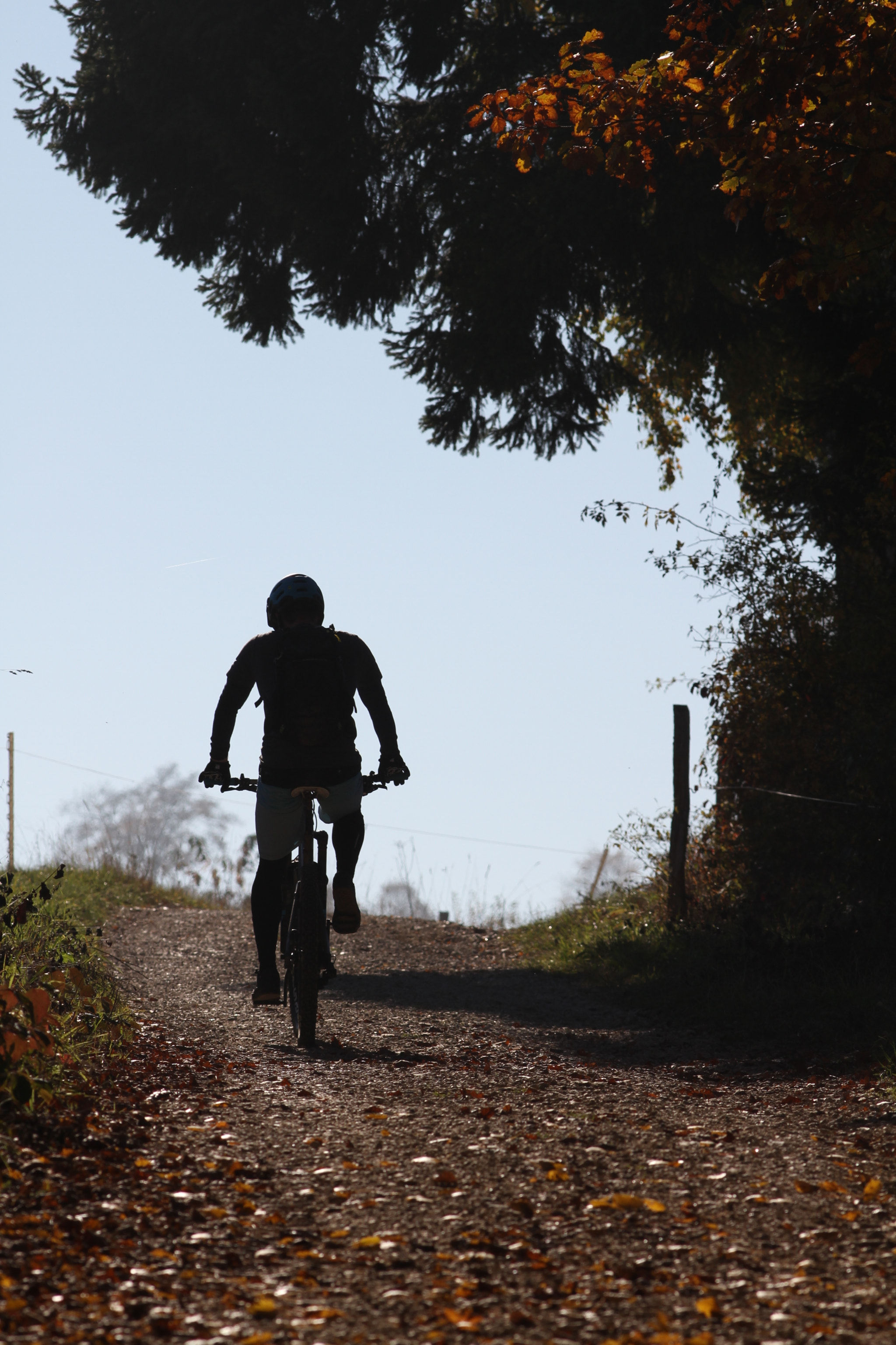 Canon EOS 7D + Canon EF 200mm F2.8L II USM sample photo. Mountain biking in the swiss jura photography