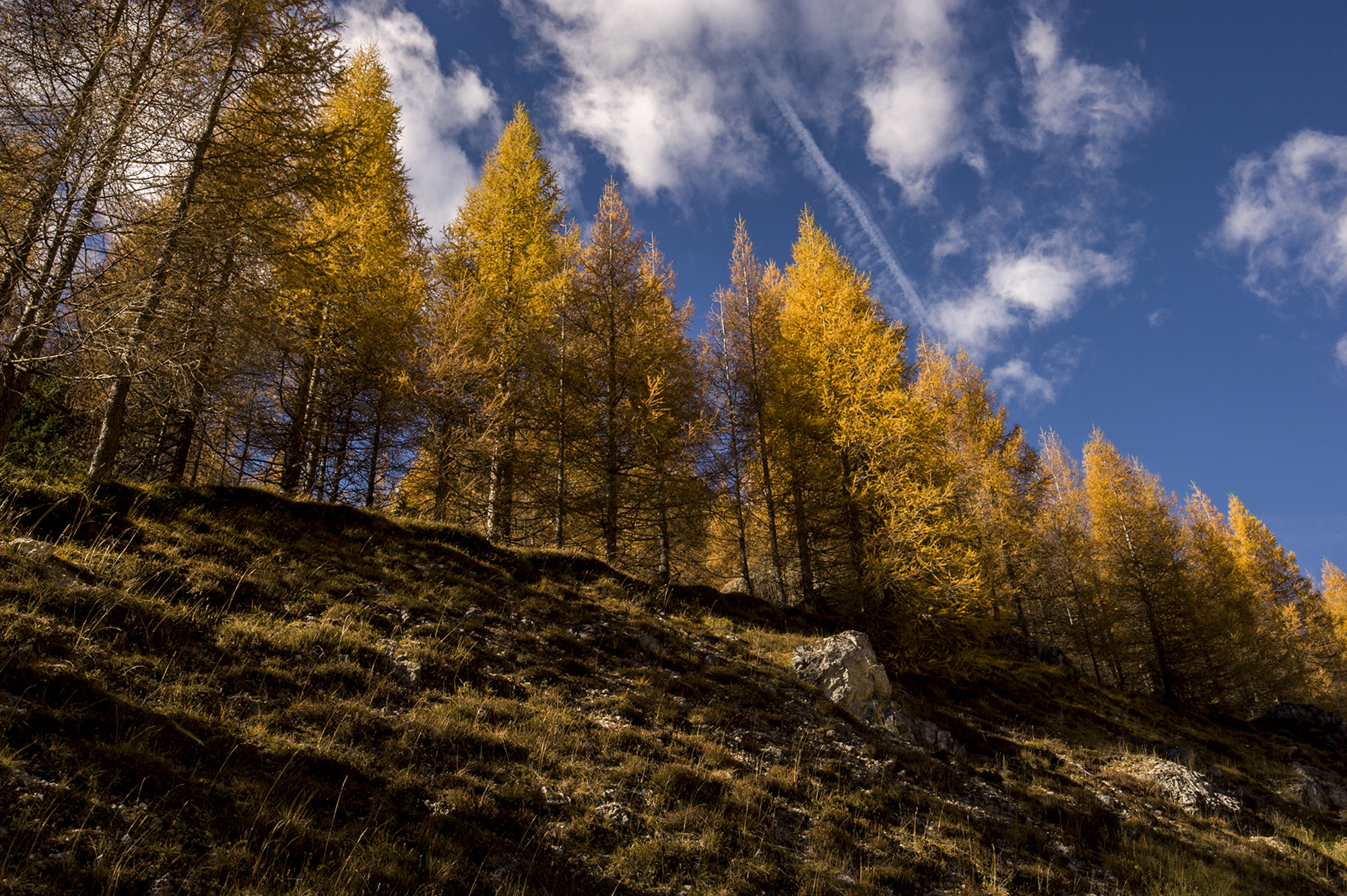 Tamron SP 15-30mm F2.8 Di VC USD sample photo. Contrasti montani photography