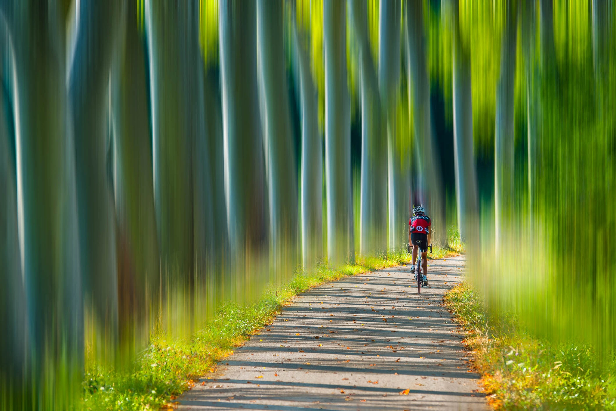 Nikon D3X sample photo. Le cycliste photography