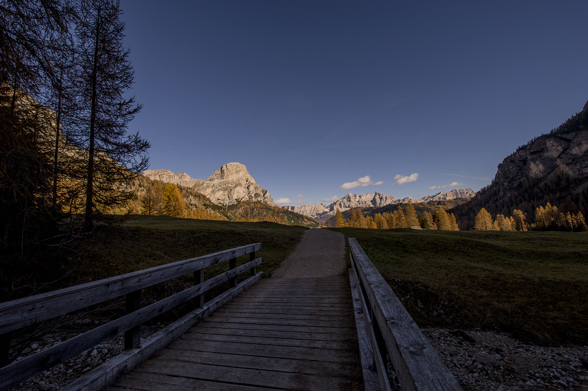 Tamron SP 15-30mm F2.8 Di VC USD sample photo. Ponte nel bosco photography