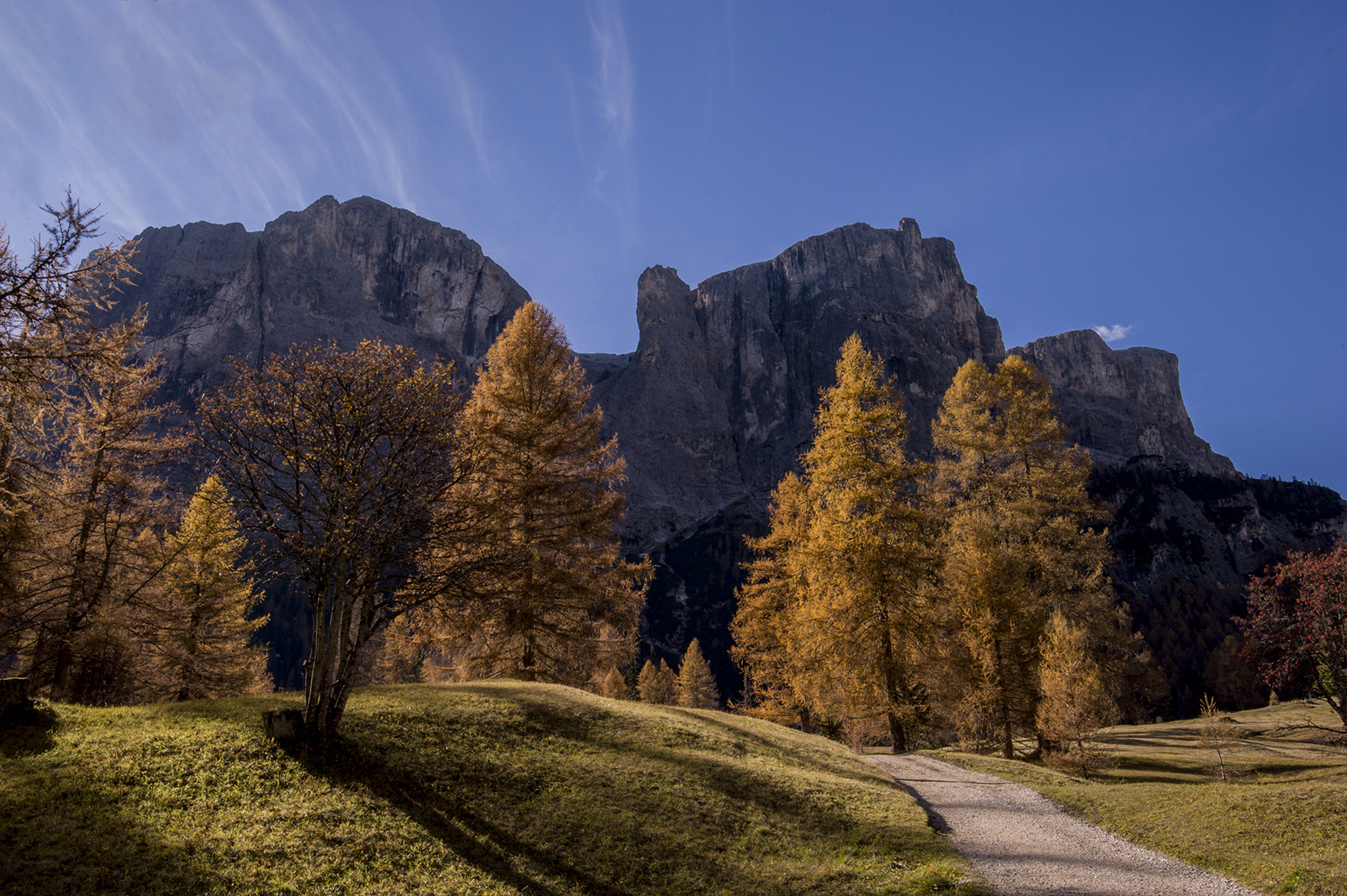Tamron SP 15-30mm F2.8 Di VC USD sample photo. Via autunnale photography