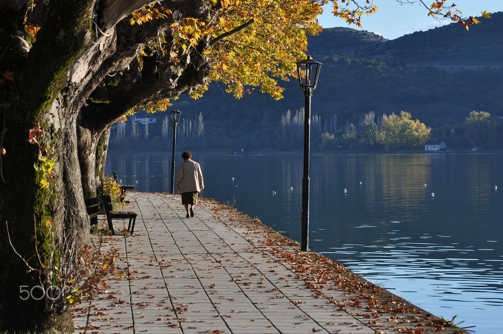 Nikon D5000 sample photo. Walking alone photography