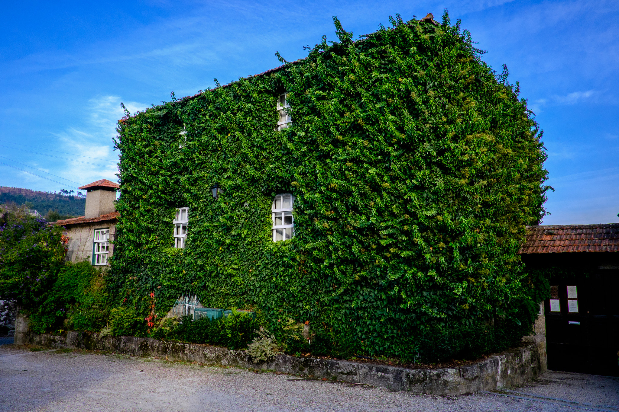 Fujifilm X-E2 + Fujifilm XF 18mm F2 R sample photo. Inside green living photography