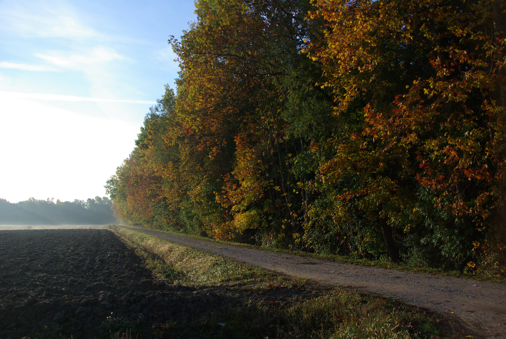 Pentax K10D + Sigma 18-200mm F3.5-6.3 DC sample photo. Quaiaz autunno photography