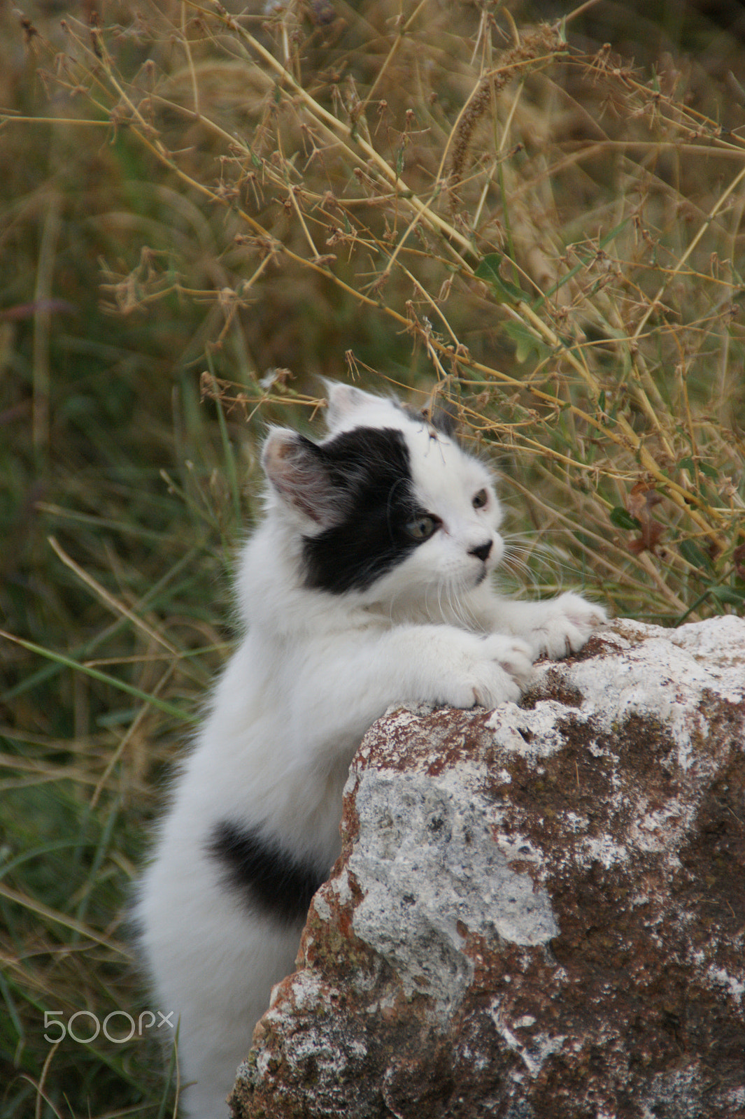 Sony DT 18-200mm F3.5-6.3 sample photo. Almost there! photography