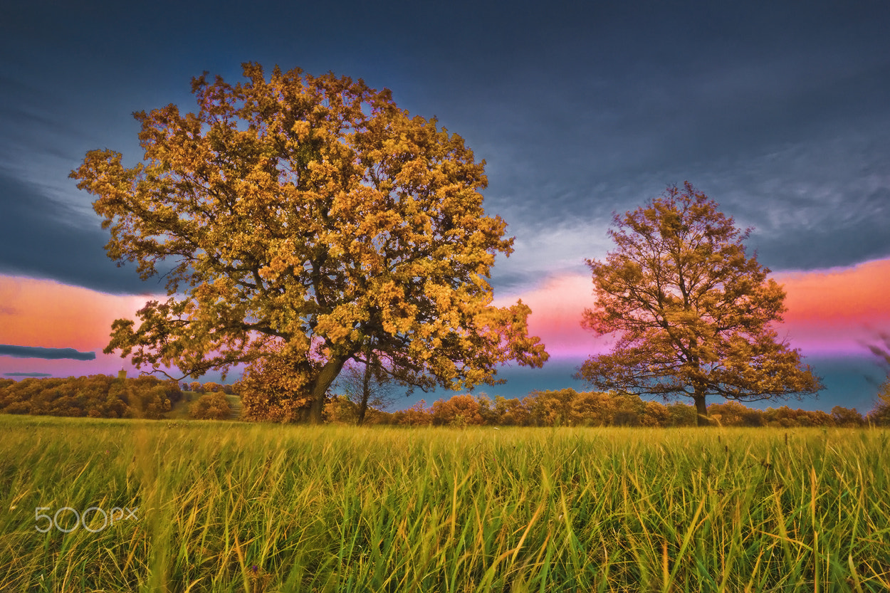 Canon EF 16-35mm F2.8L II USM sample photo. /// photography