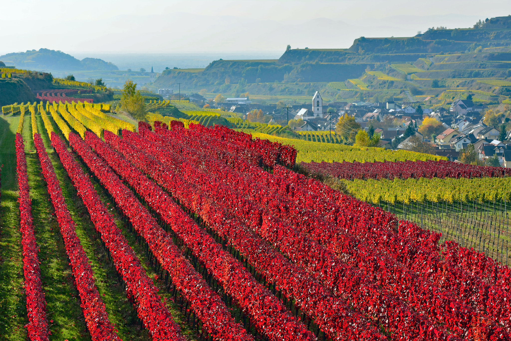 Nikon AF-S Nikkor 70-200mm F4G ED VR sample photo. Vignoble allemagne photography