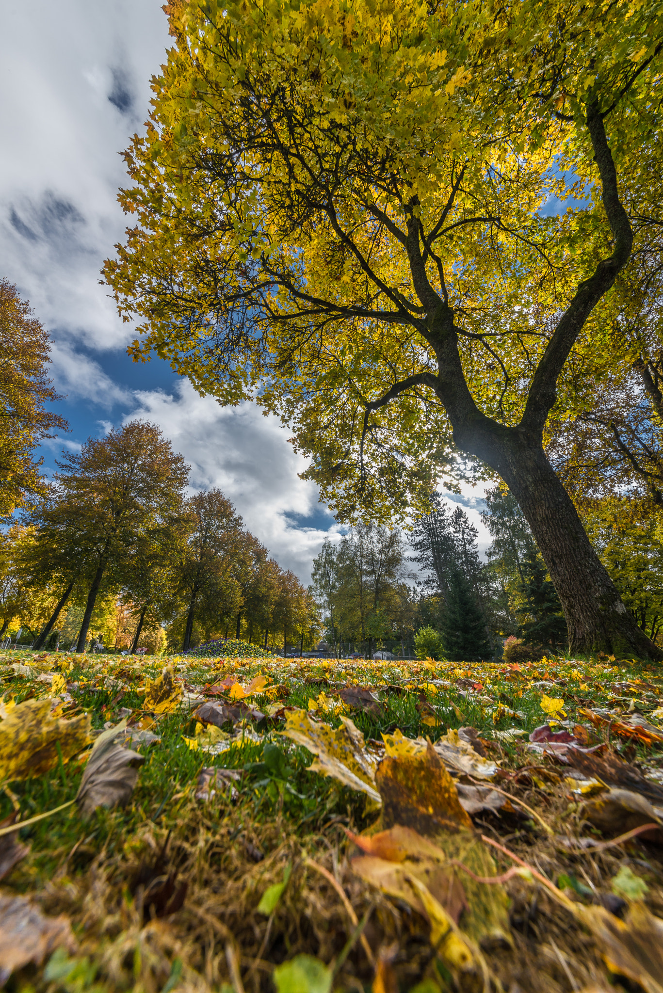 Nikon D600 + Sigma 12-24mm F4.5-5.6 II DG HSM sample photo. Spa gardens photography