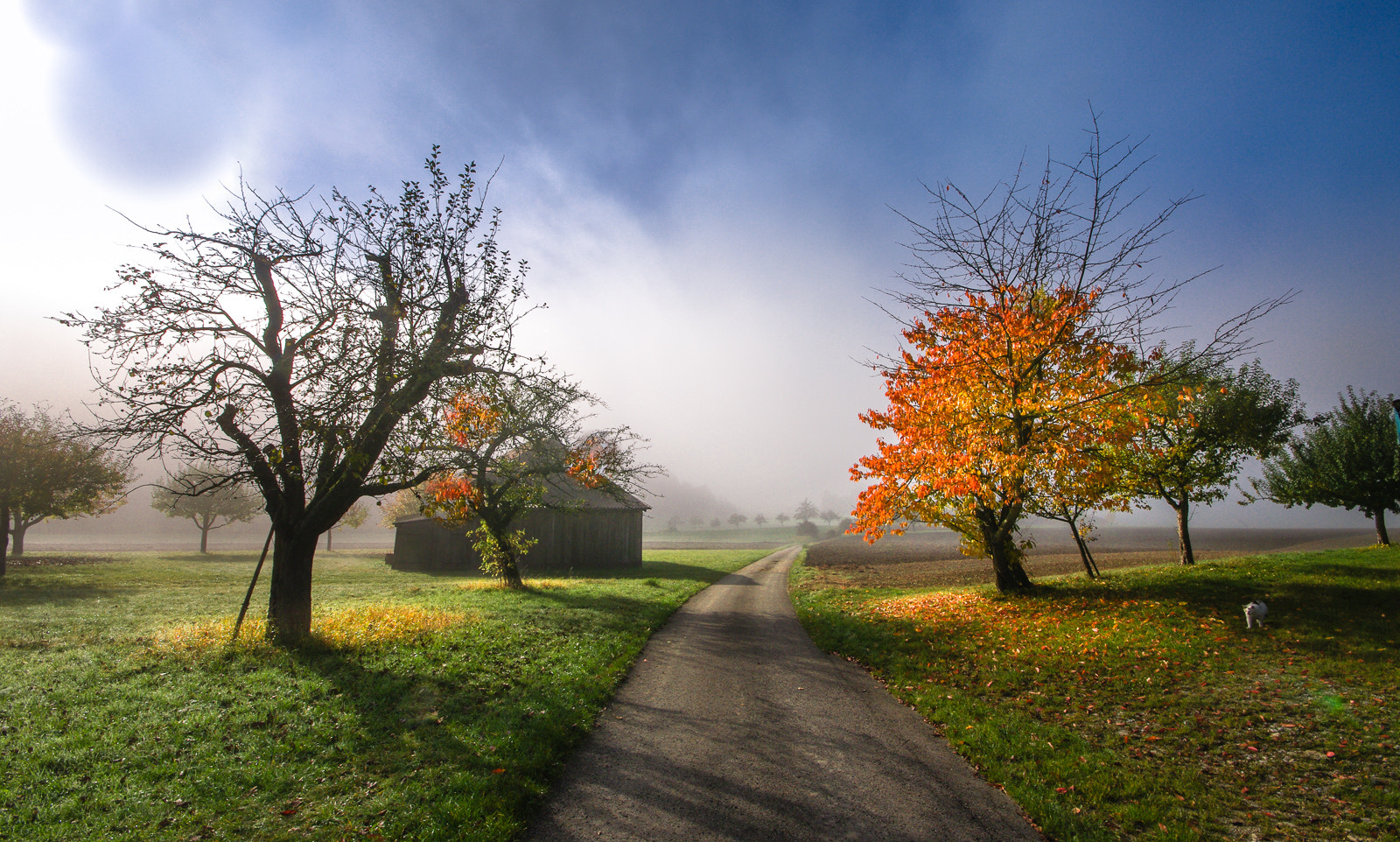 Pentax K20D sample photo. When the fog passing bye photography