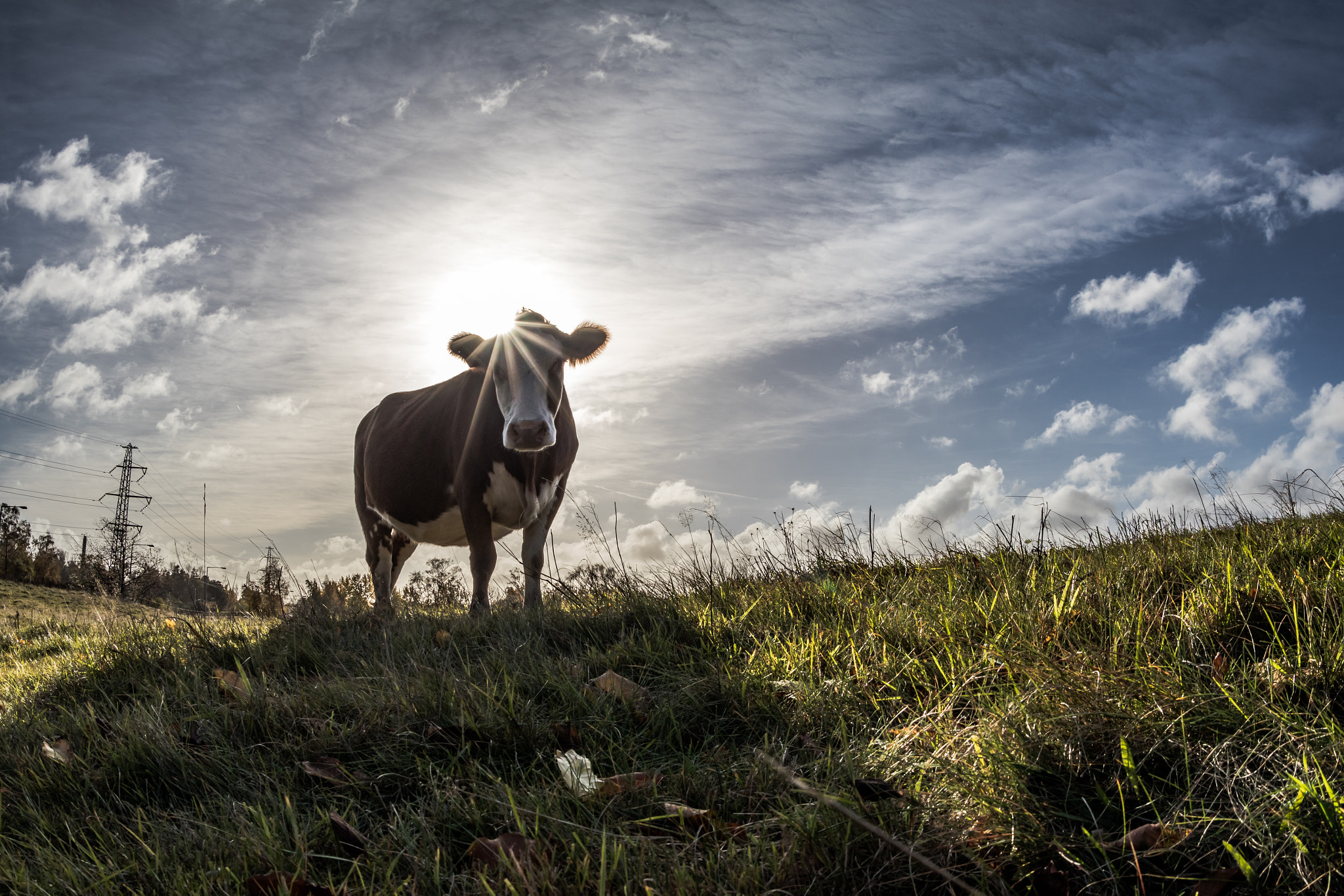 Sigma 15mm f/2.8 EX Fisheye sample photo. Holy cow?! a shot from the shadow into the light photography