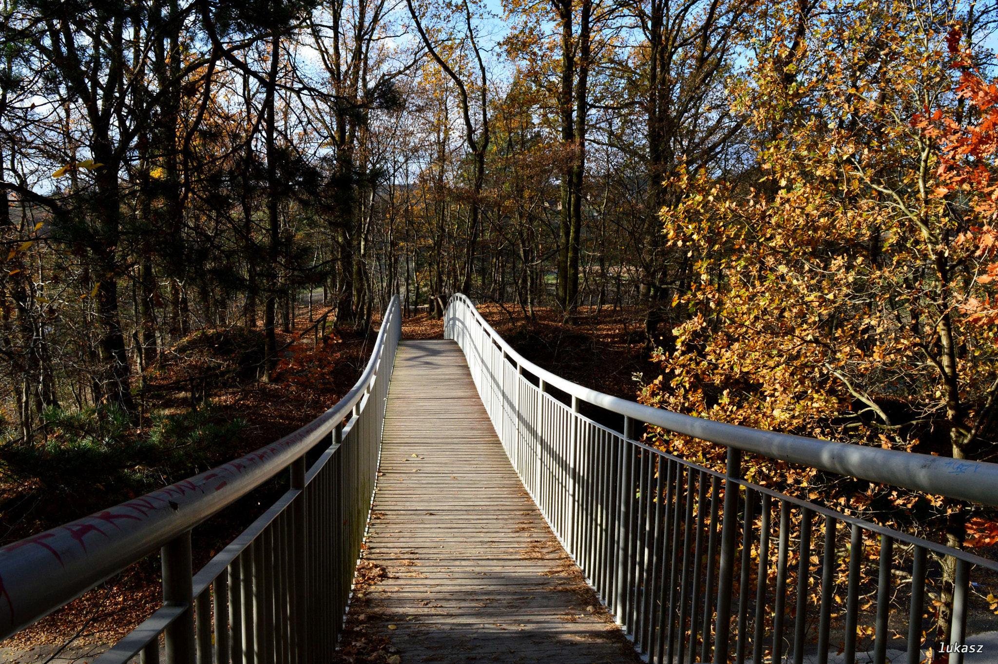 Nikon AF-S Nikkor 18-35mm F3.5-4.5G ED sample photo. Footbridge photography