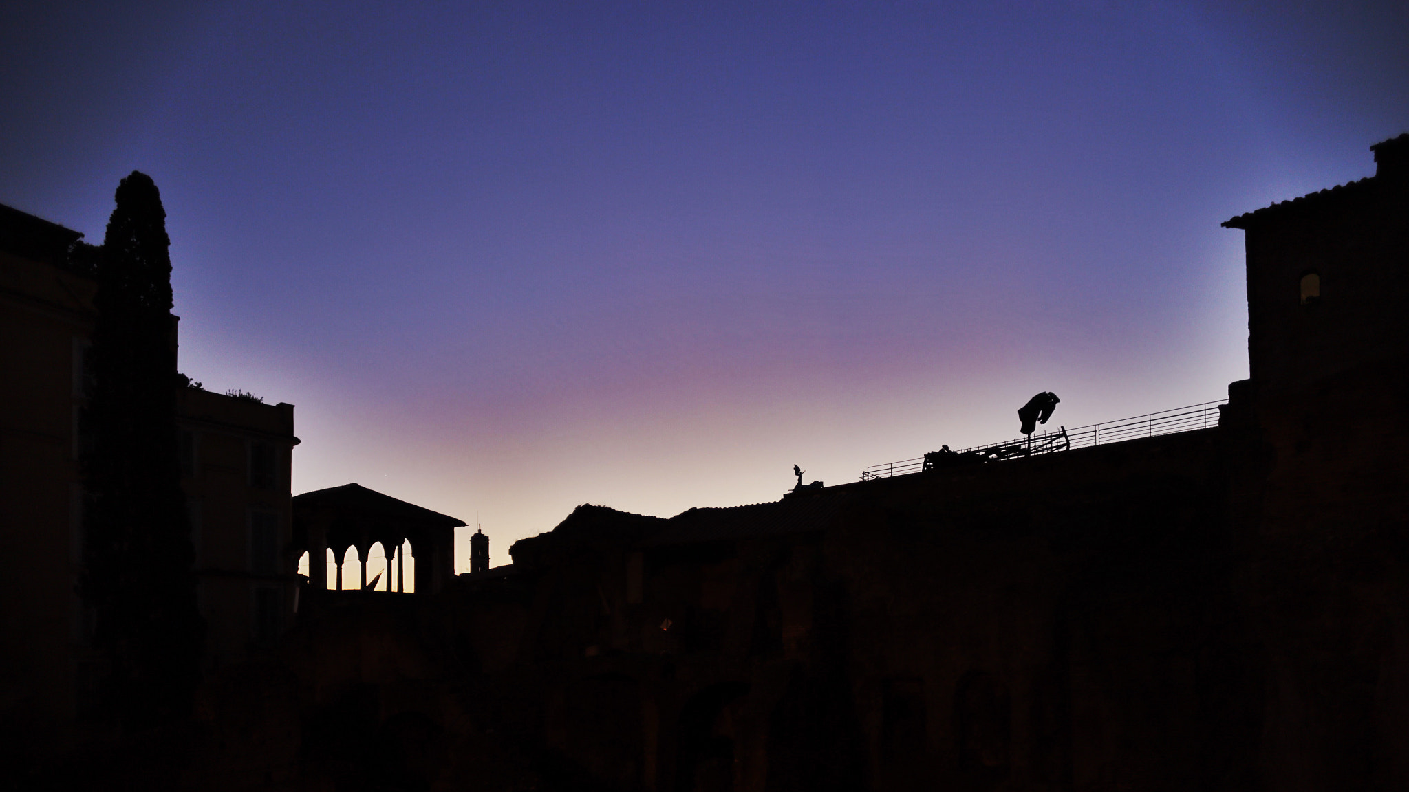 Canon EOS 6D + Canon EF 20mm F2.8 USM sample photo. The unexpected horse. photography